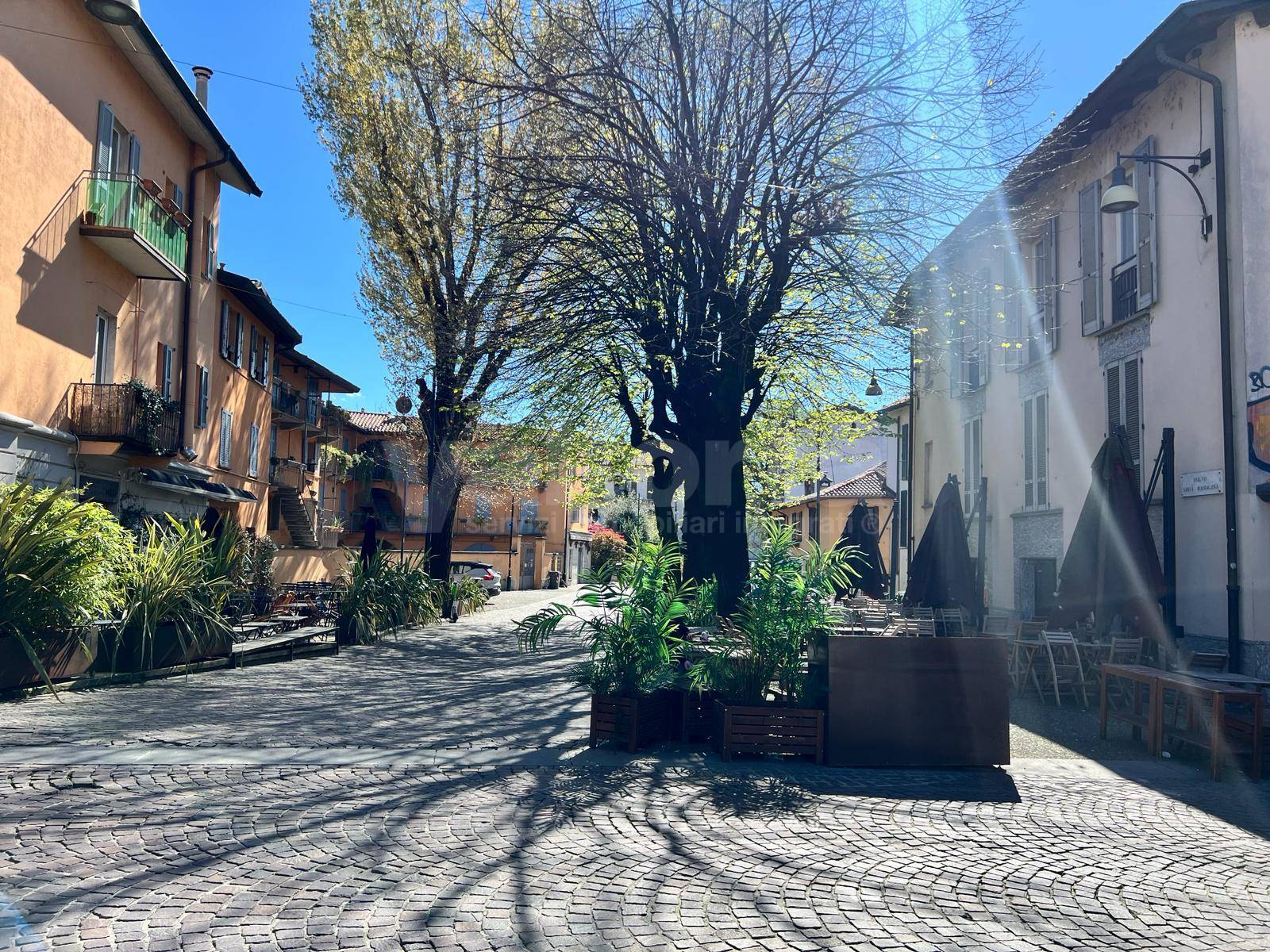 Trilocale in affitto, Monza centro storico