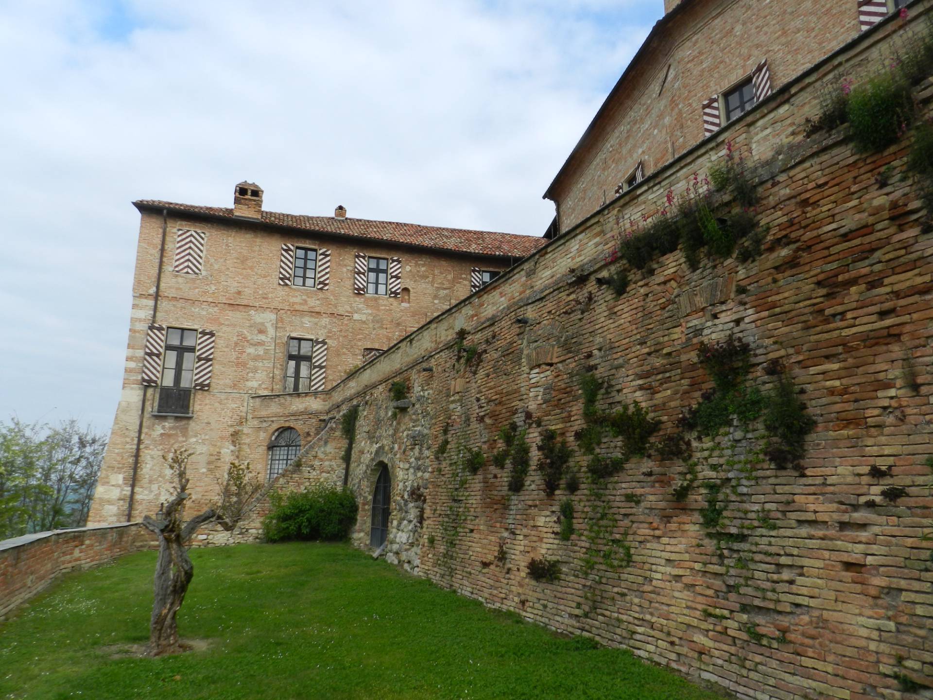 immagine annuncio 3 di 6
