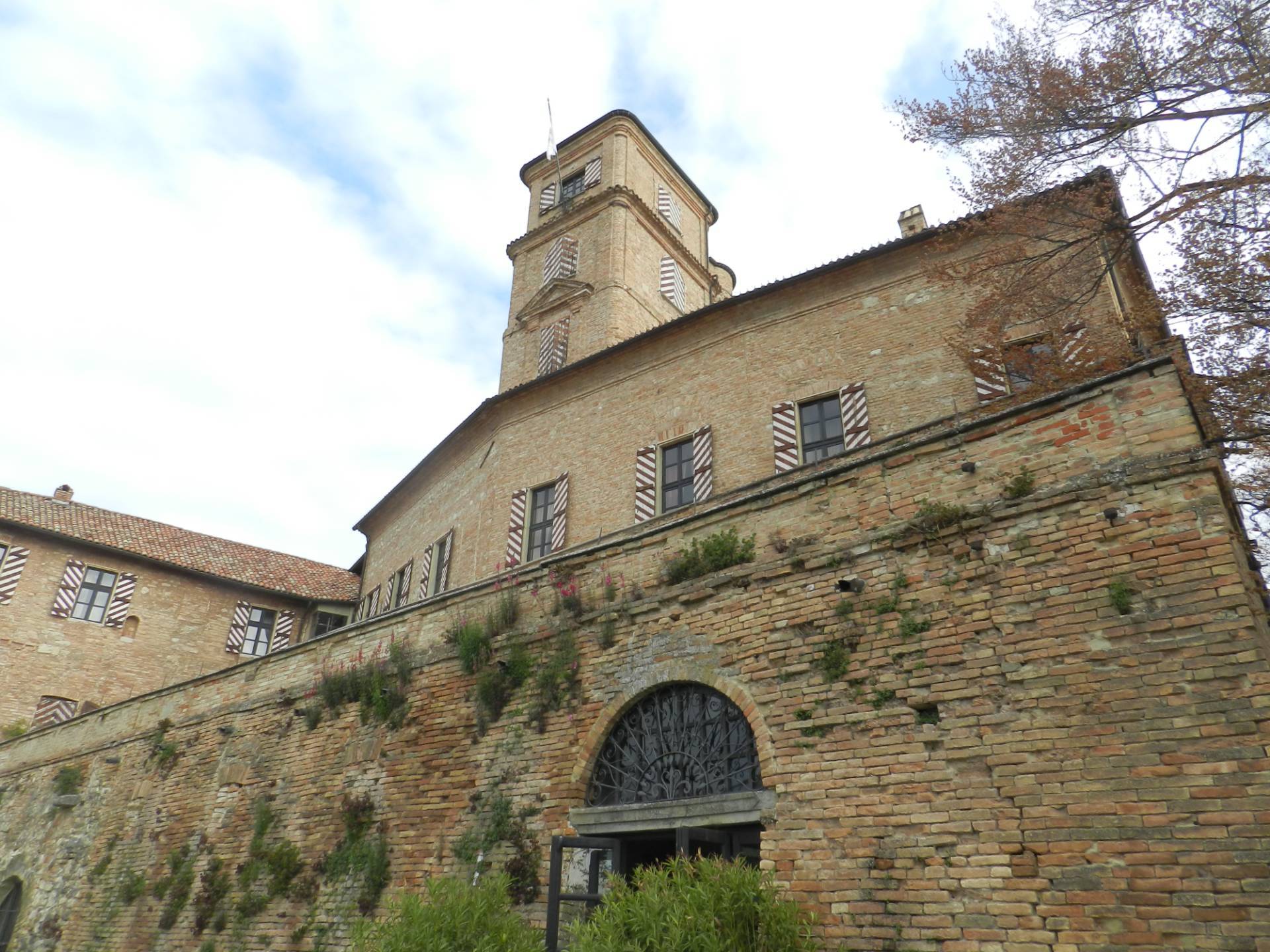 immagine annuncio 5 di 6