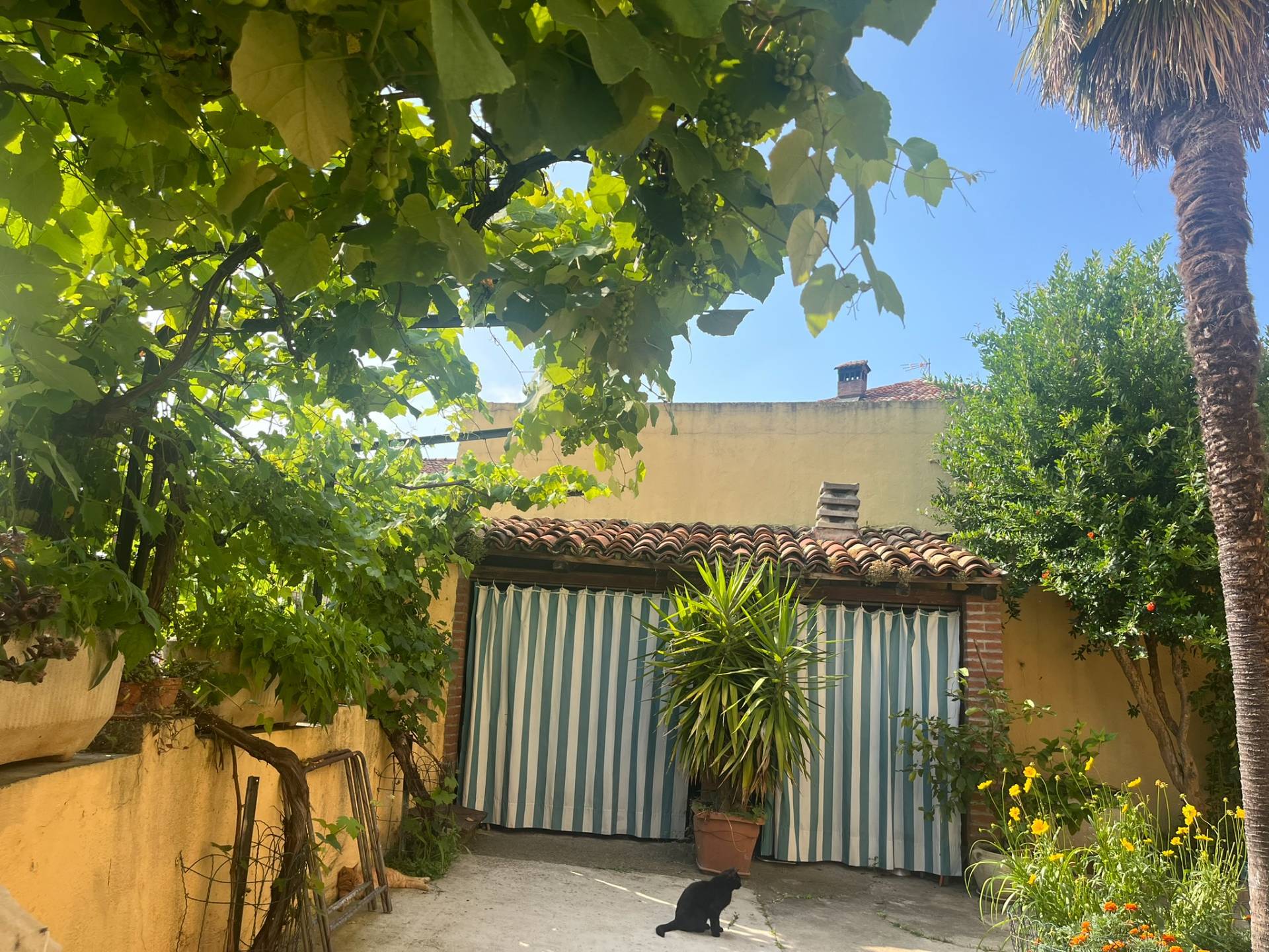 Cascina in vendita a Pino d'Asti, Centro