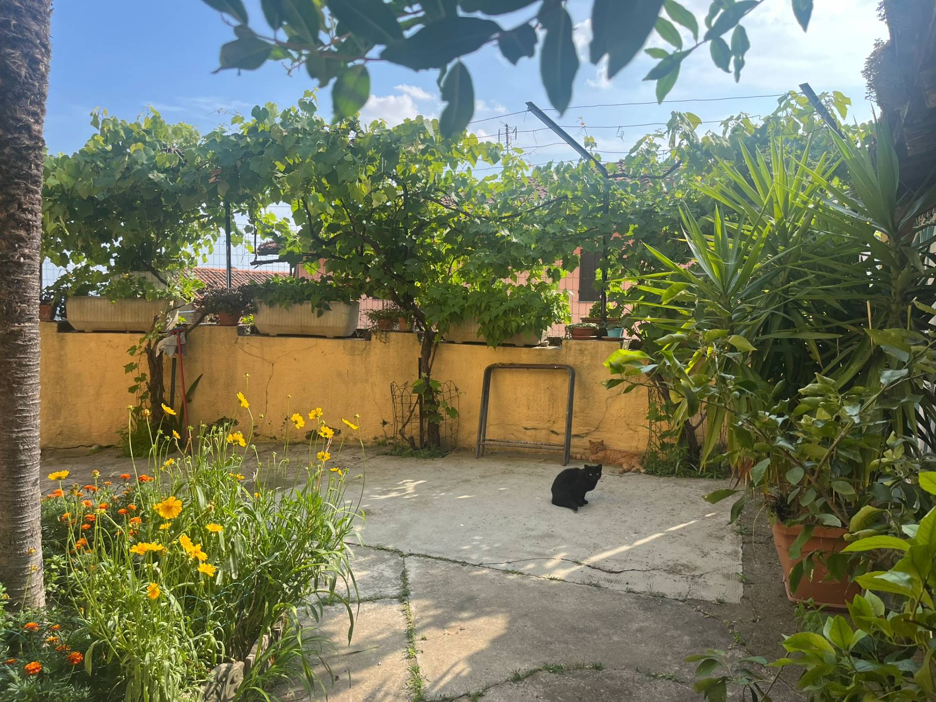 Cascina in vendita a Pino d'Asti, Centro