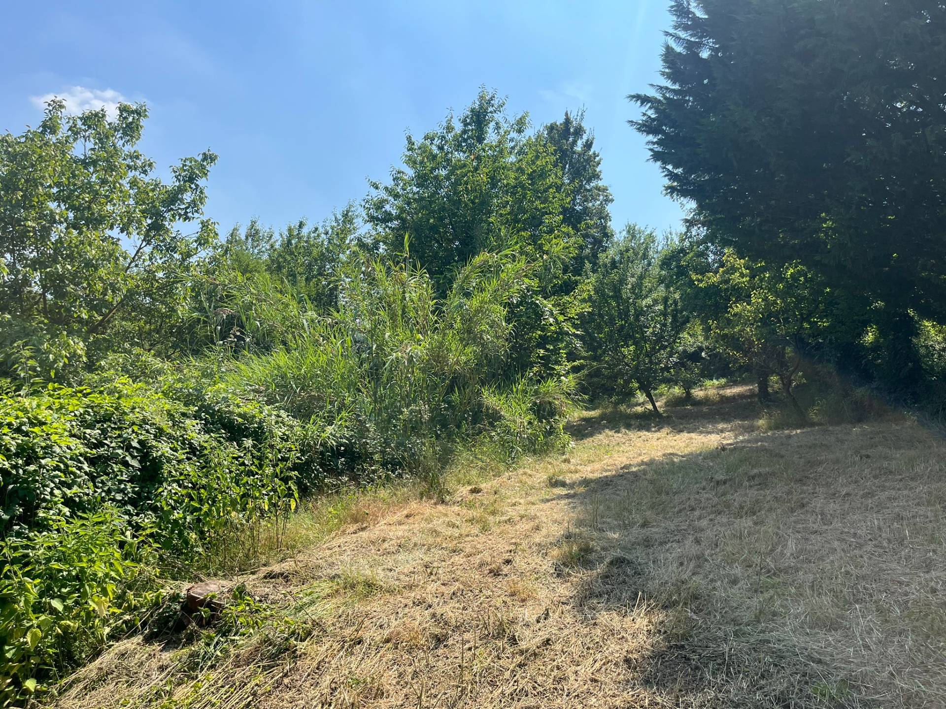 Porzione di casa in vendita a Cocconato, Bonvino