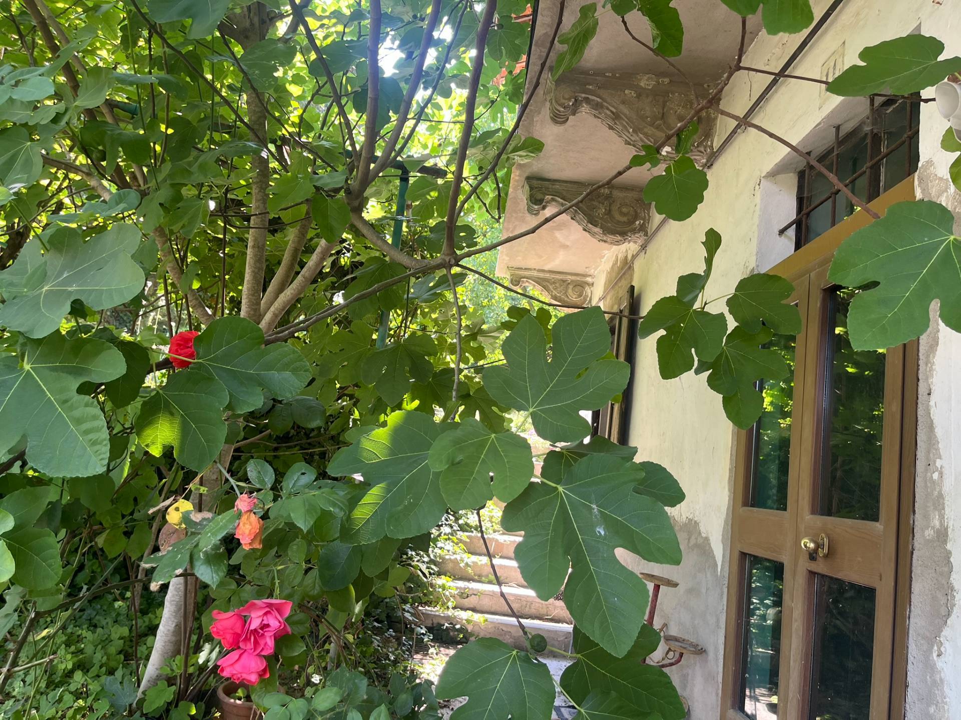 Porzione di casa in vendita a Cocconato, Bonvino