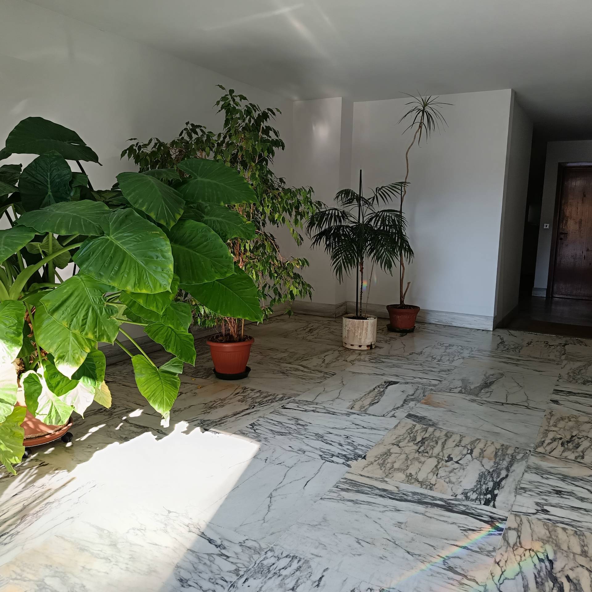 Appartamento in vendita a Asti, Asti