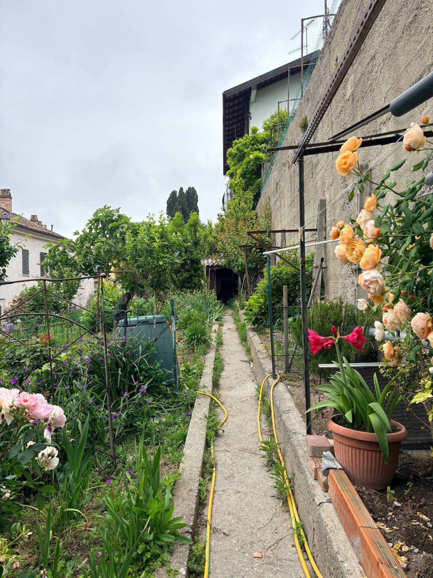 Cascina in vendita a Murisengo, Centro