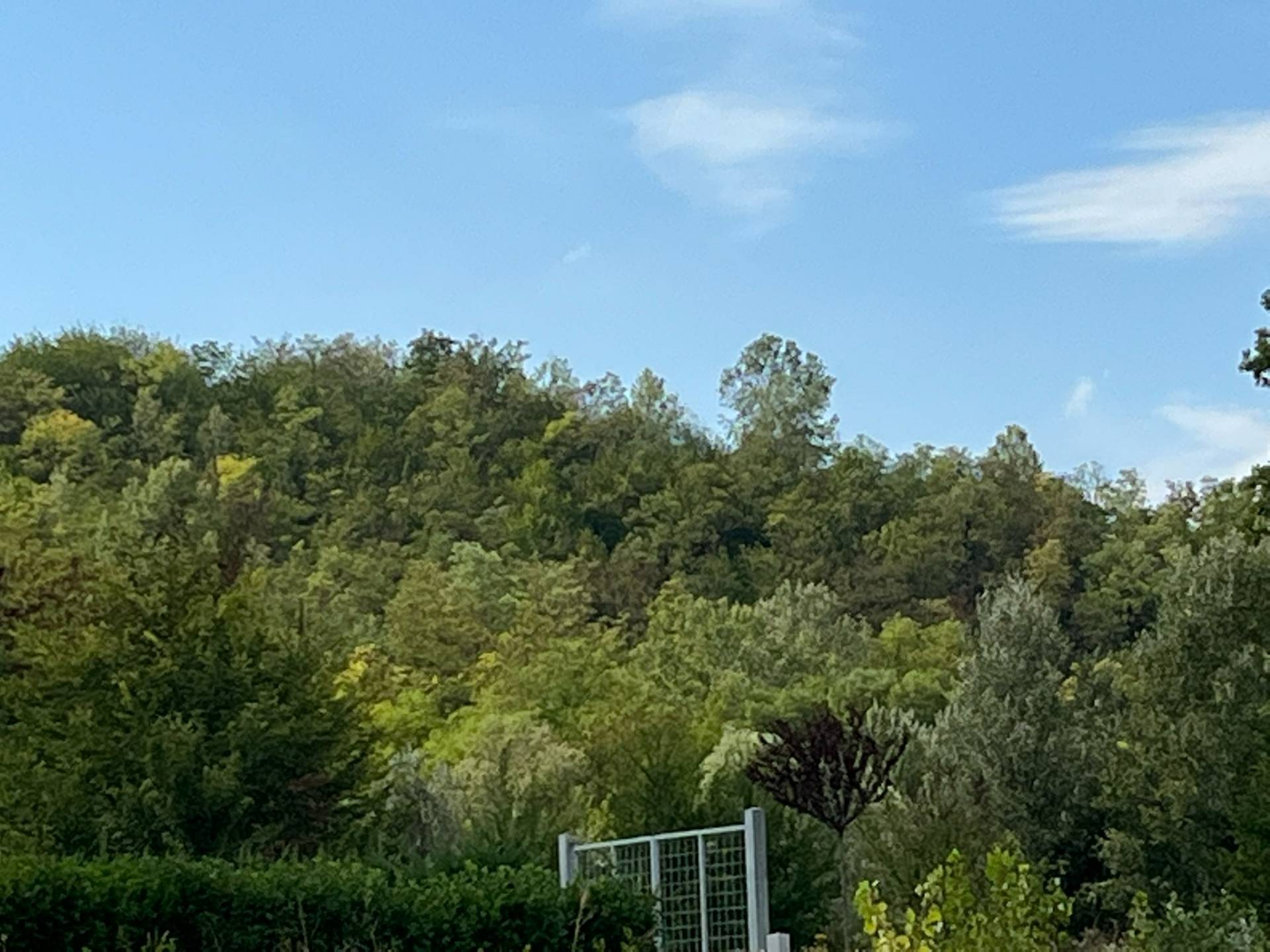 Terreno turistico in vendita a Castell'Alfero