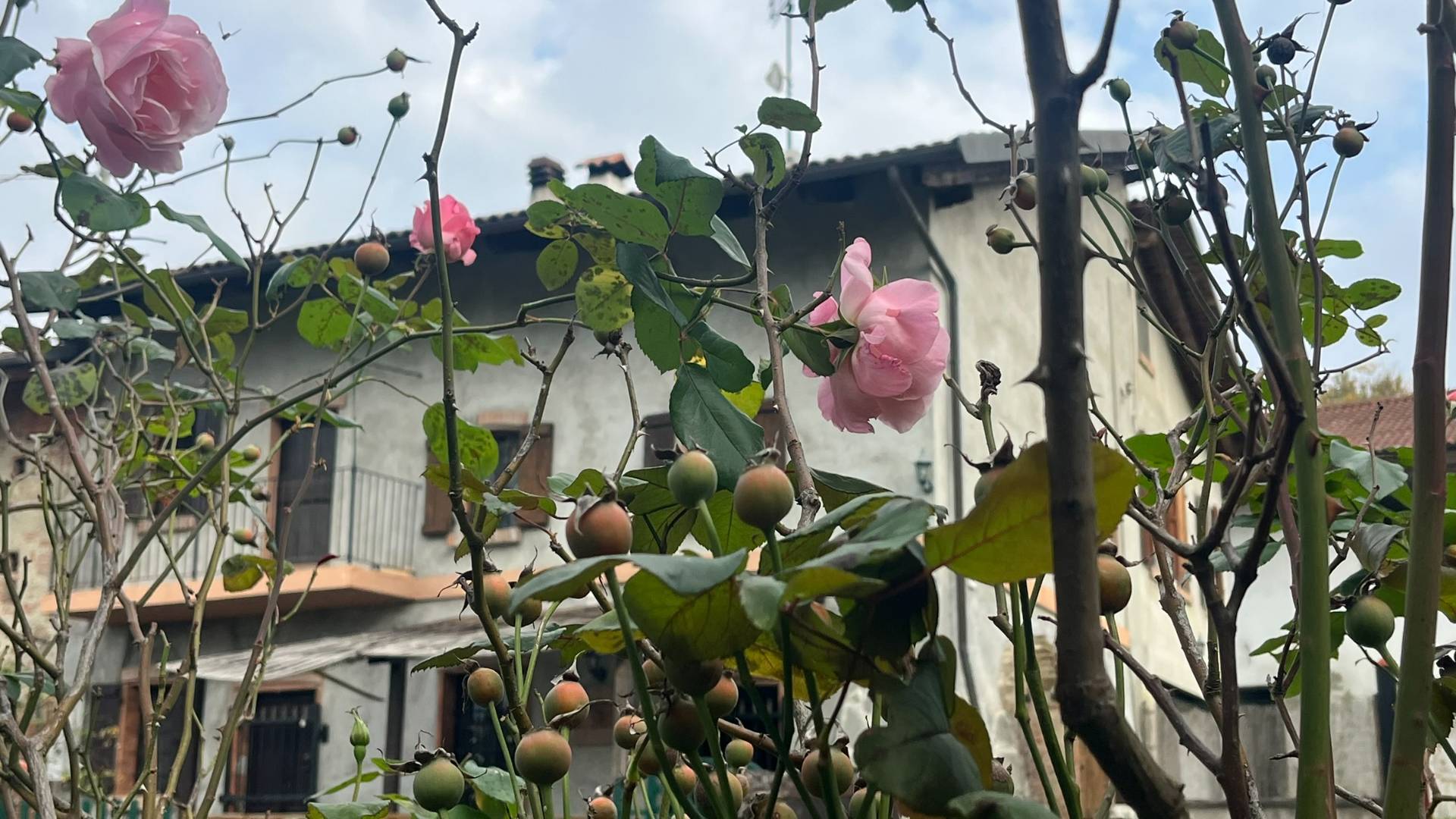 Cascina in vendita a Robella, Cortiglione