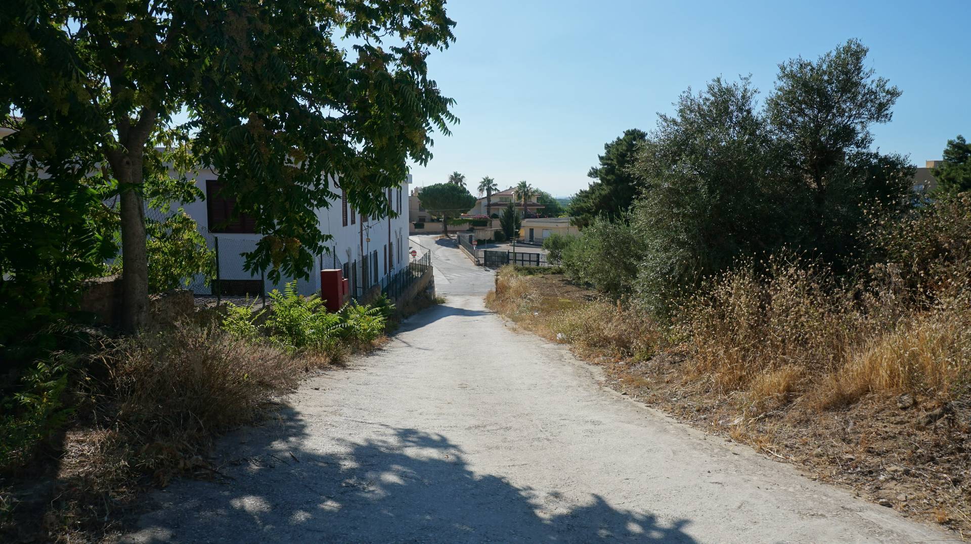 Terreno in vendita, Castelvetrano viale roma