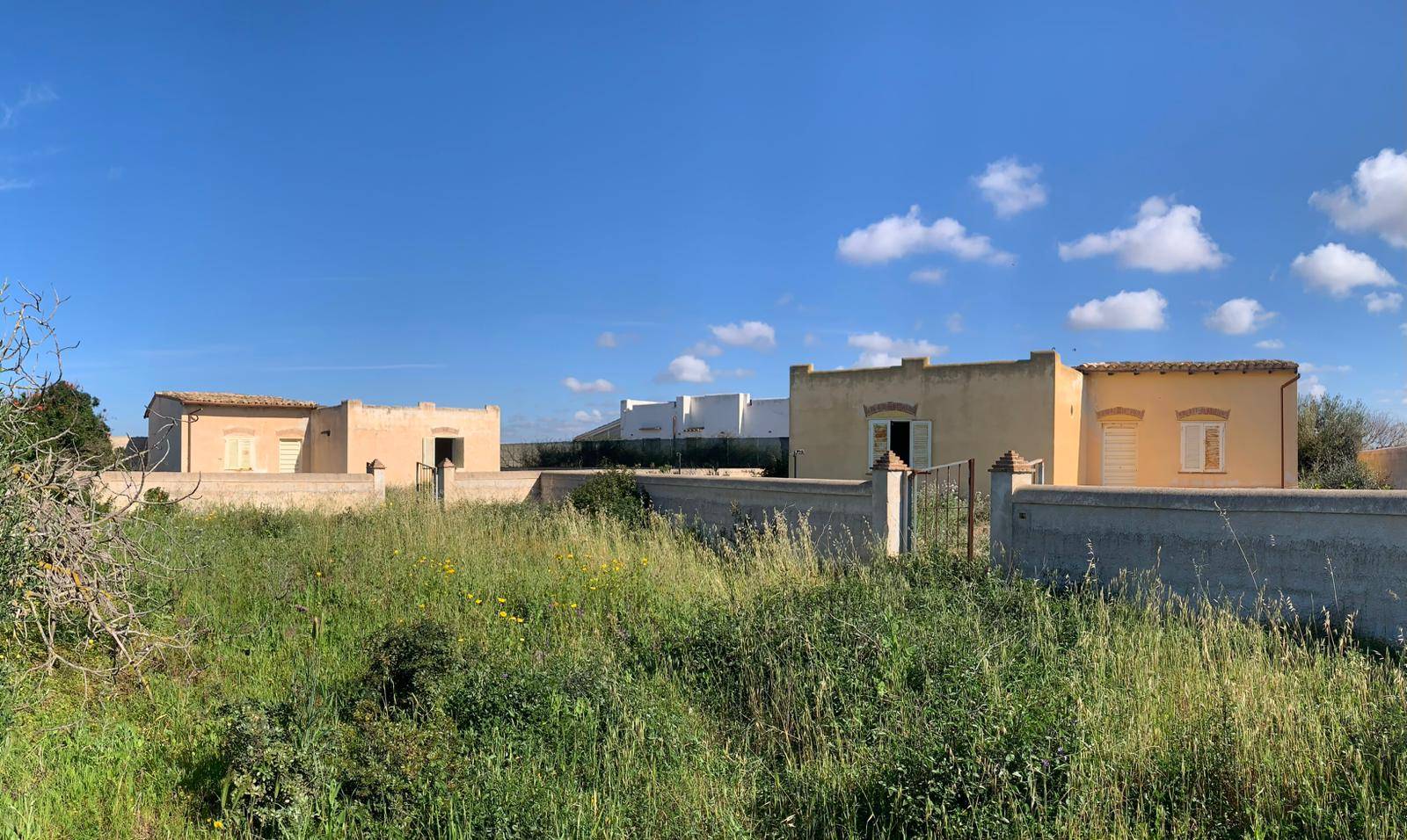 immagine annuncio 1 di 6