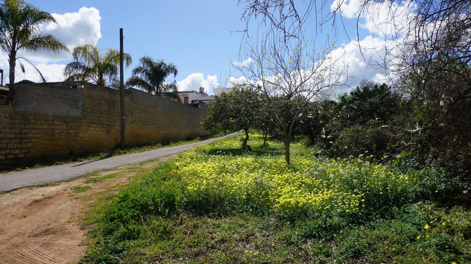 Terreno edificabile artigianale in vendita a Castelvetrano, C.da Strasatto