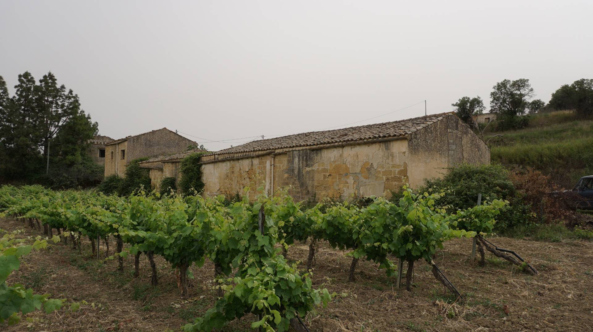 Terreno Agricolo coltivato con fabbricato in vendita a Partanna