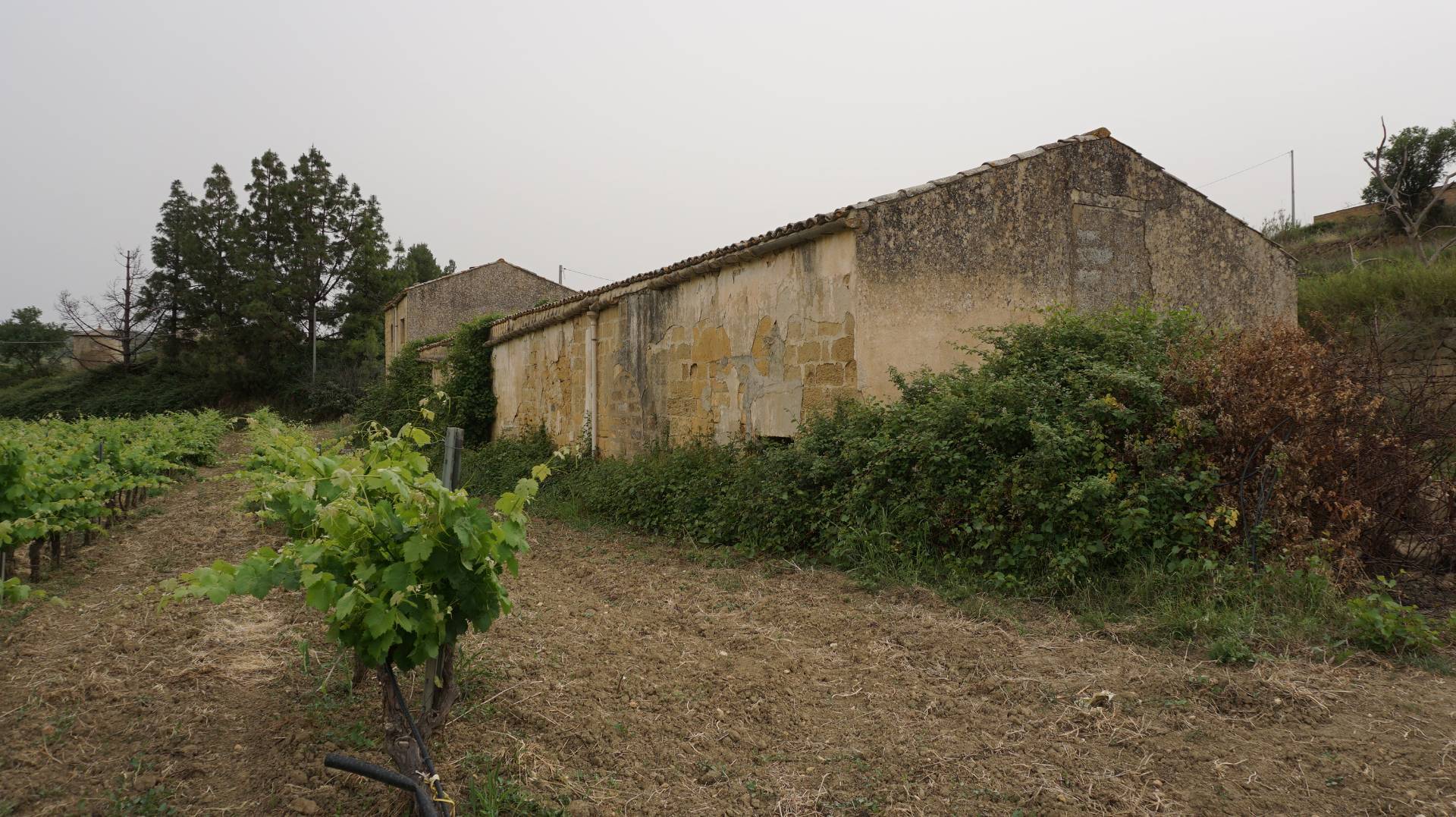 Terreno Agricolo coltivato con fabbricato in vendita a Partanna