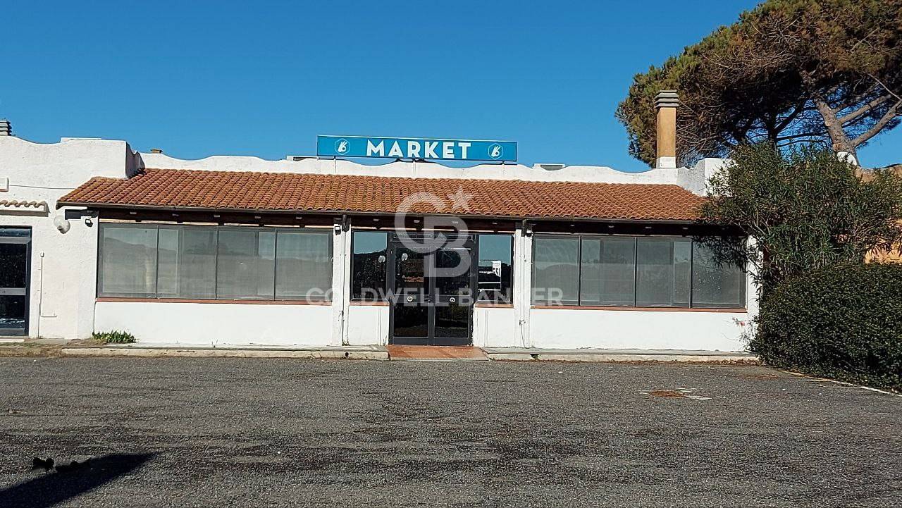 Attivit commerciale in vendita, Montalto di Castro montalto marina