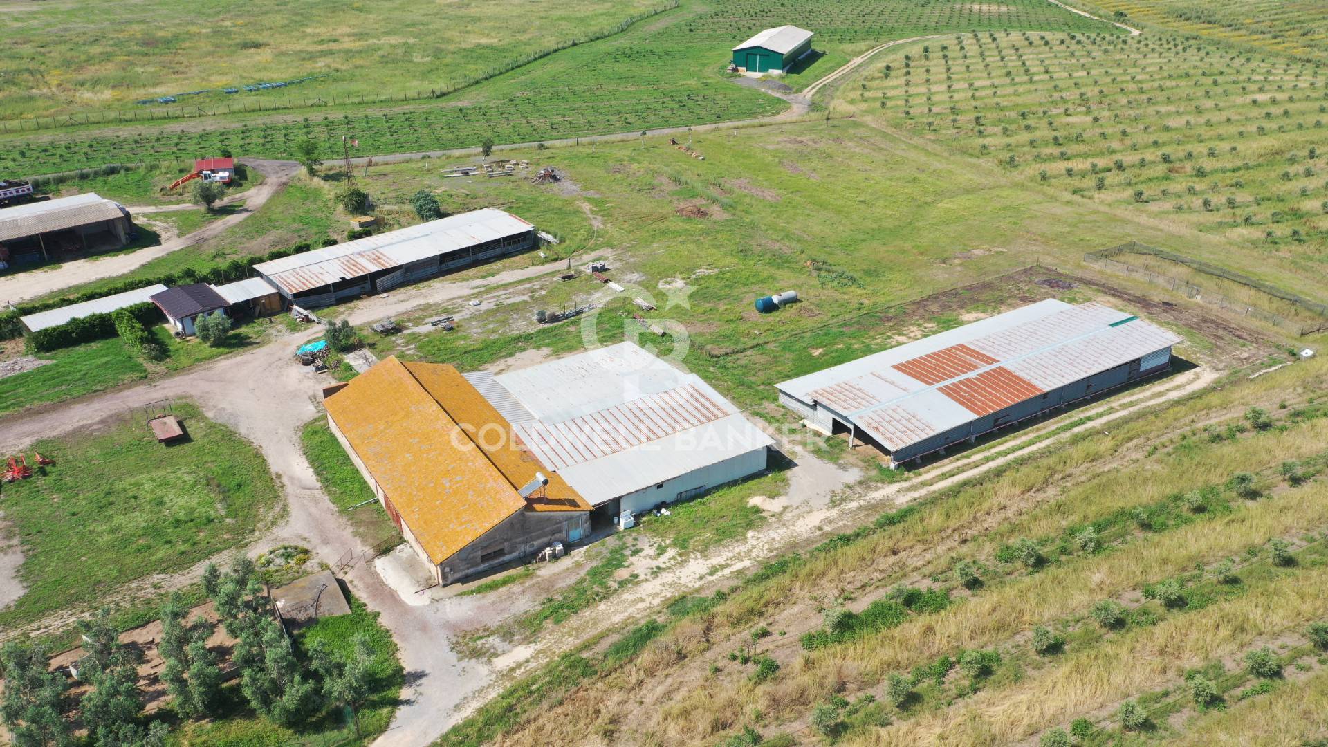 Capannone da ristrutturare a Montalto di Castro