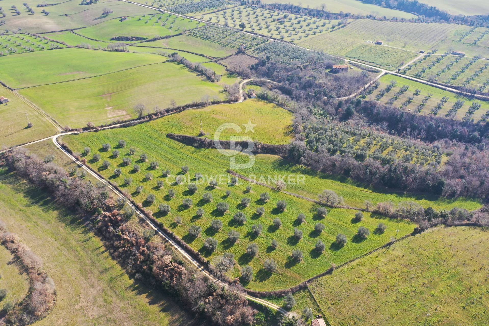 Terreno agricolo in vendita a Ischia di Castro
