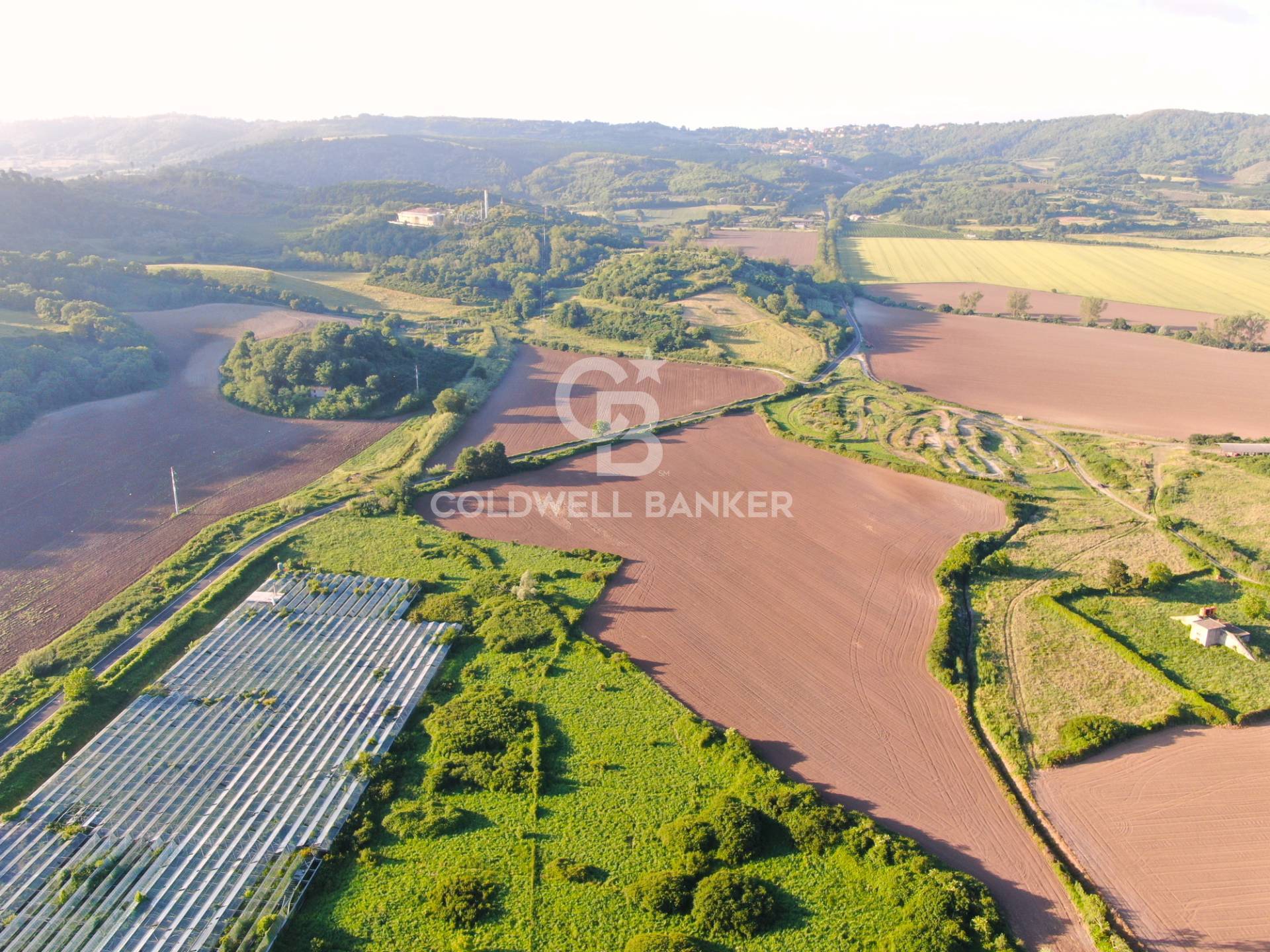Terreno agricolo in vendita a Latera