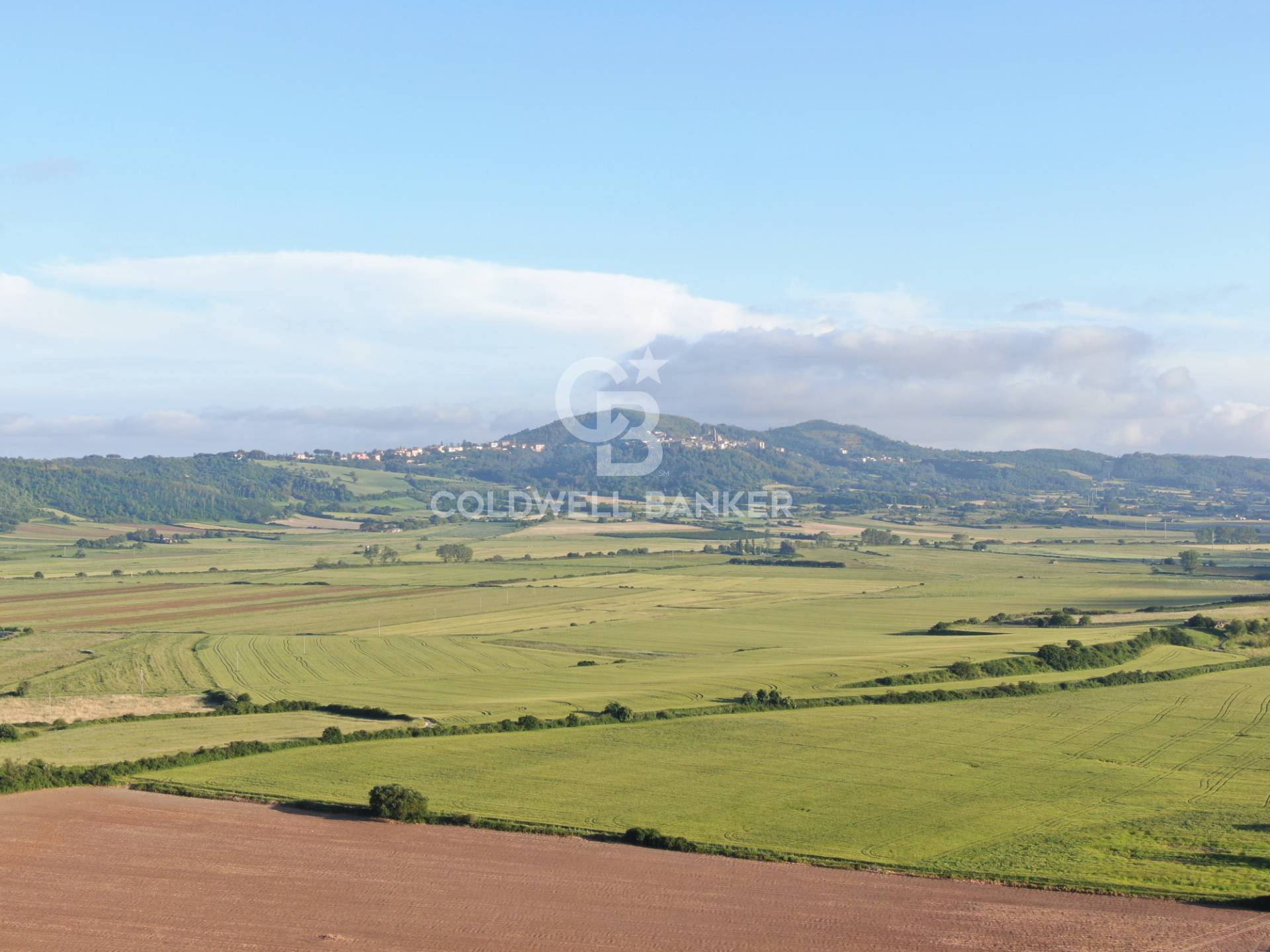 Terreno agricolo in vendita a Latera