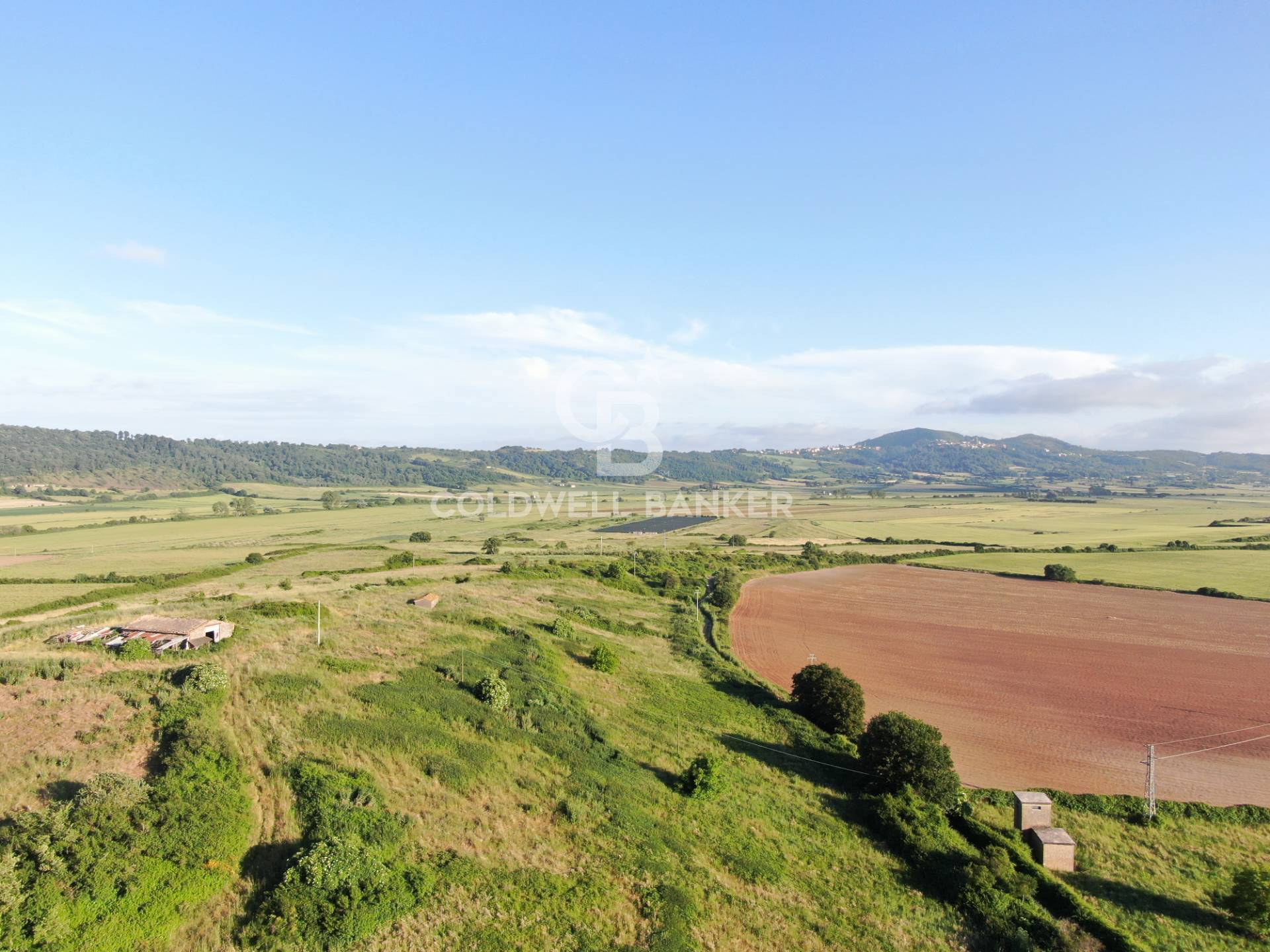 Terreno agricolo in vendita a Latera