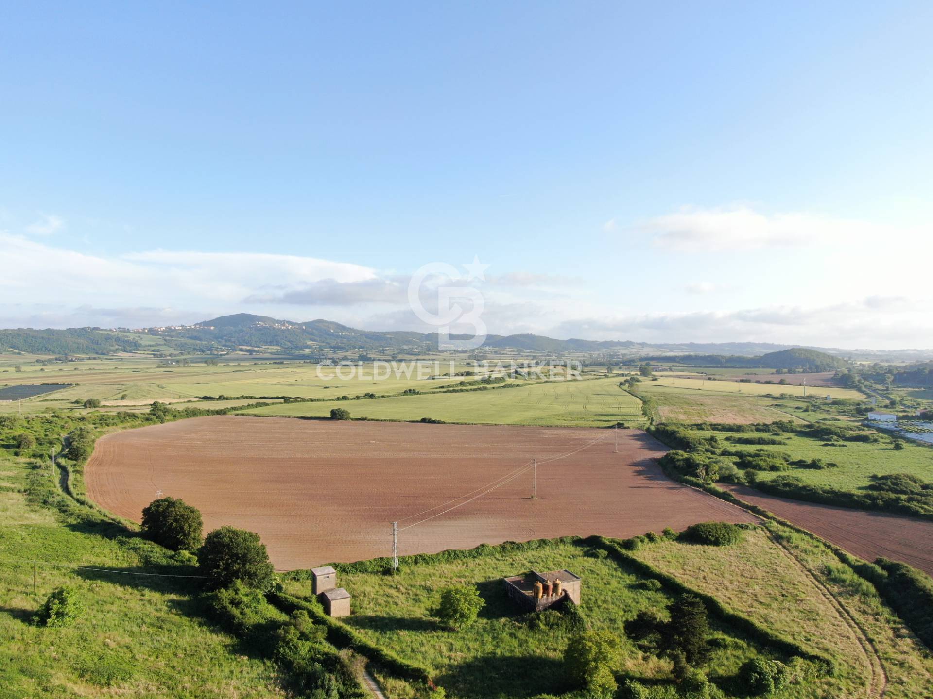 Terreno agricolo in vendita a Latera