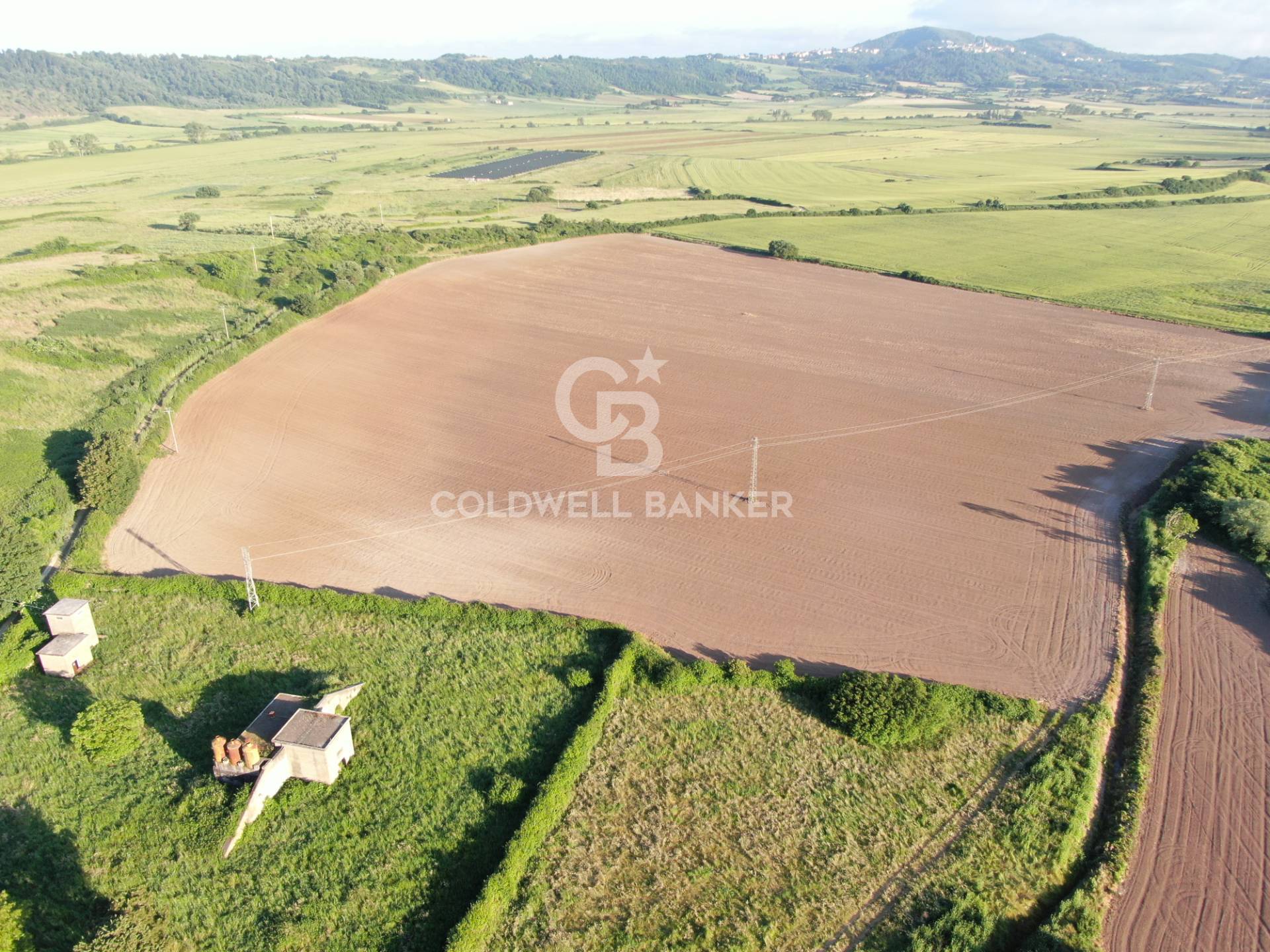 Terreno agricolo in vendita a Latera