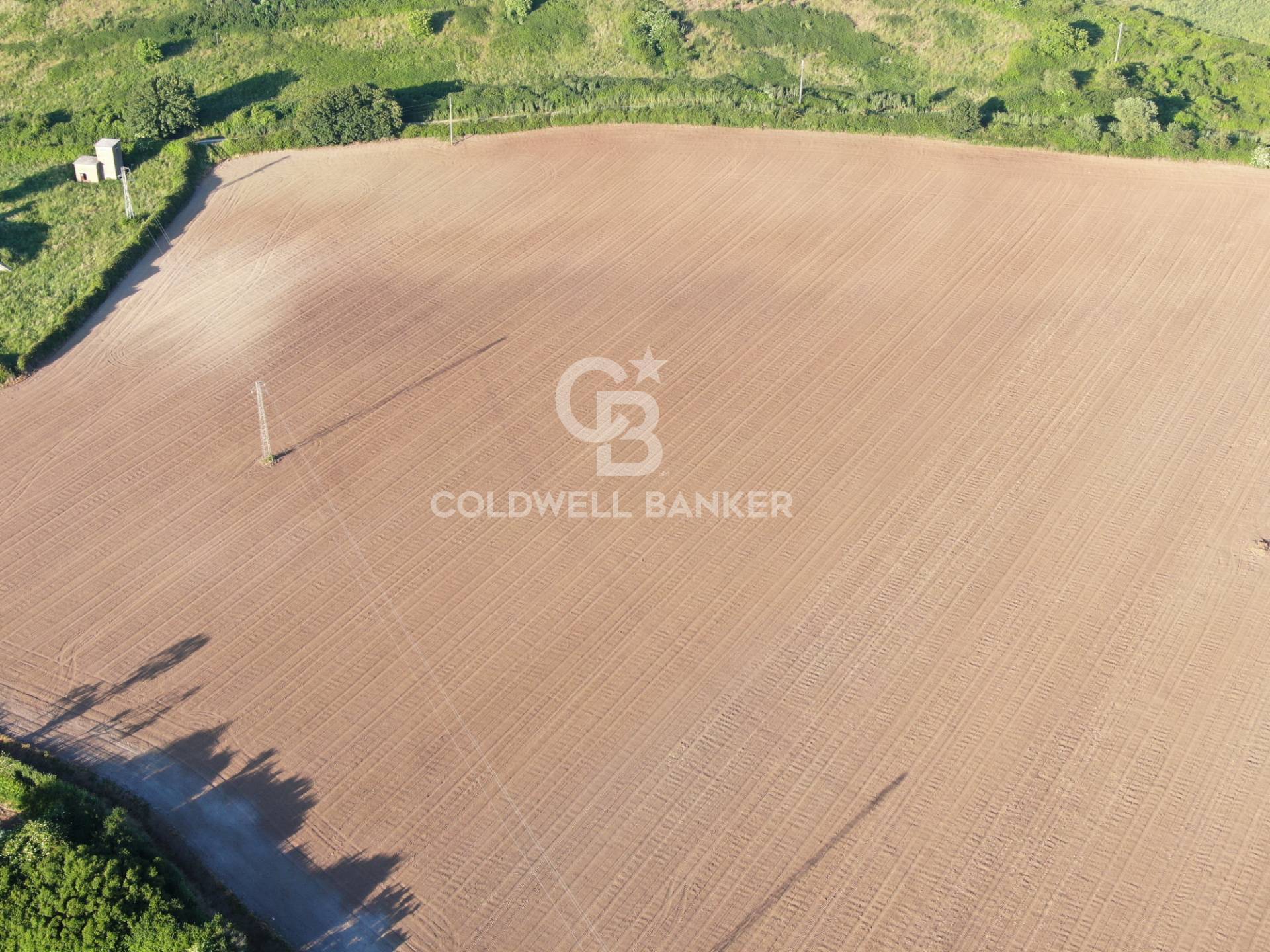 Terreno agricolo in vendita a Latera