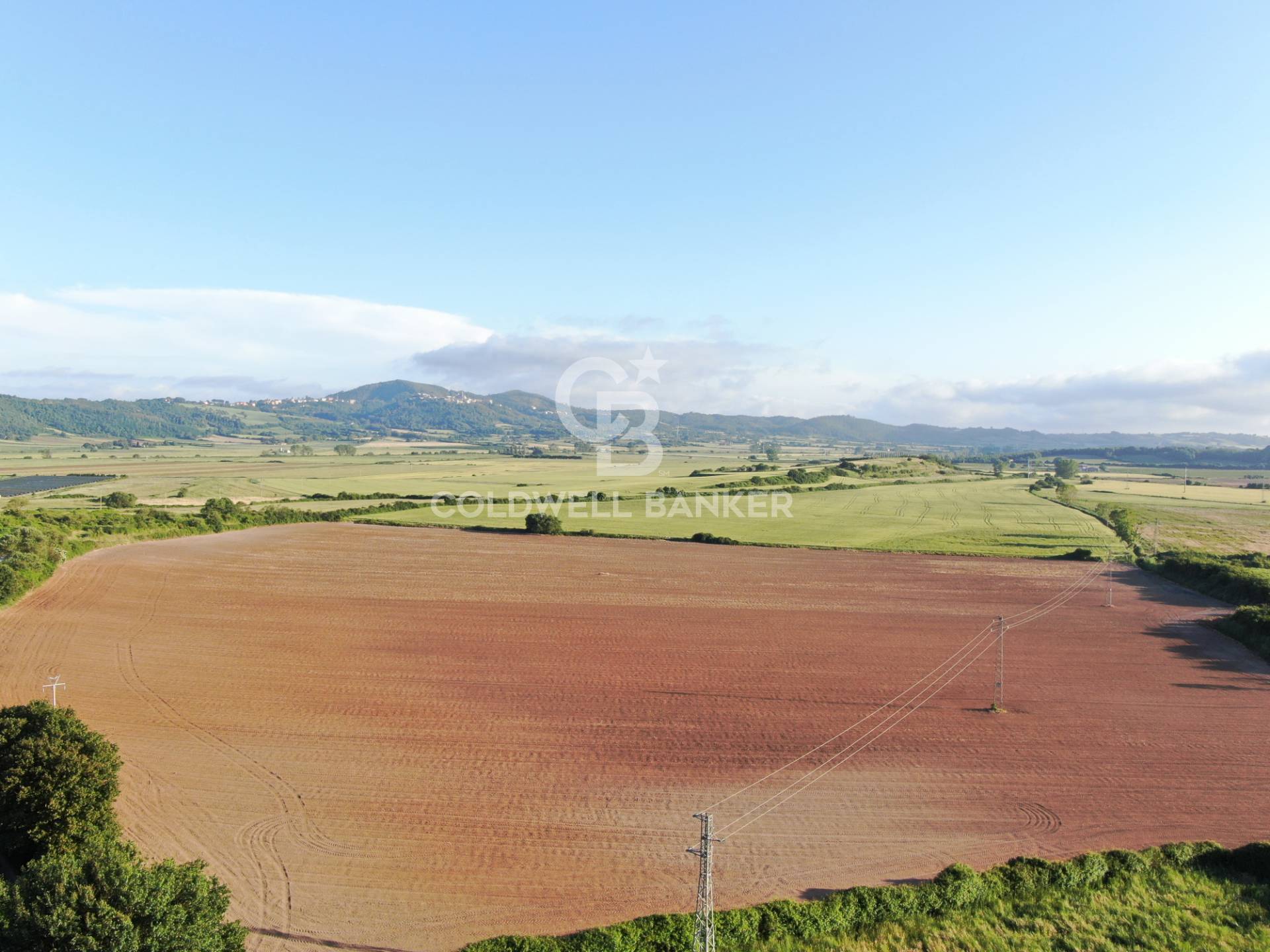 Terreno agricolo in vendita a Latera