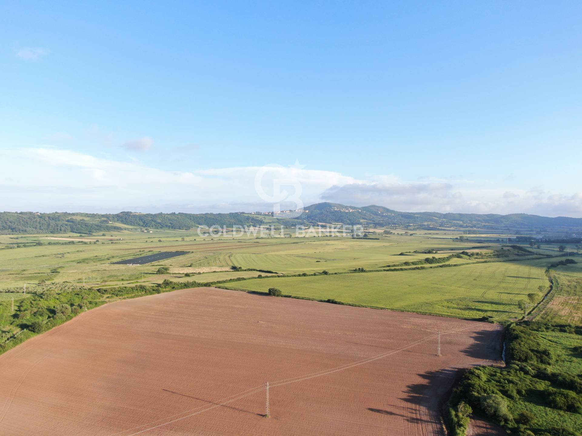 Terreno agricolo in vendita a Latera