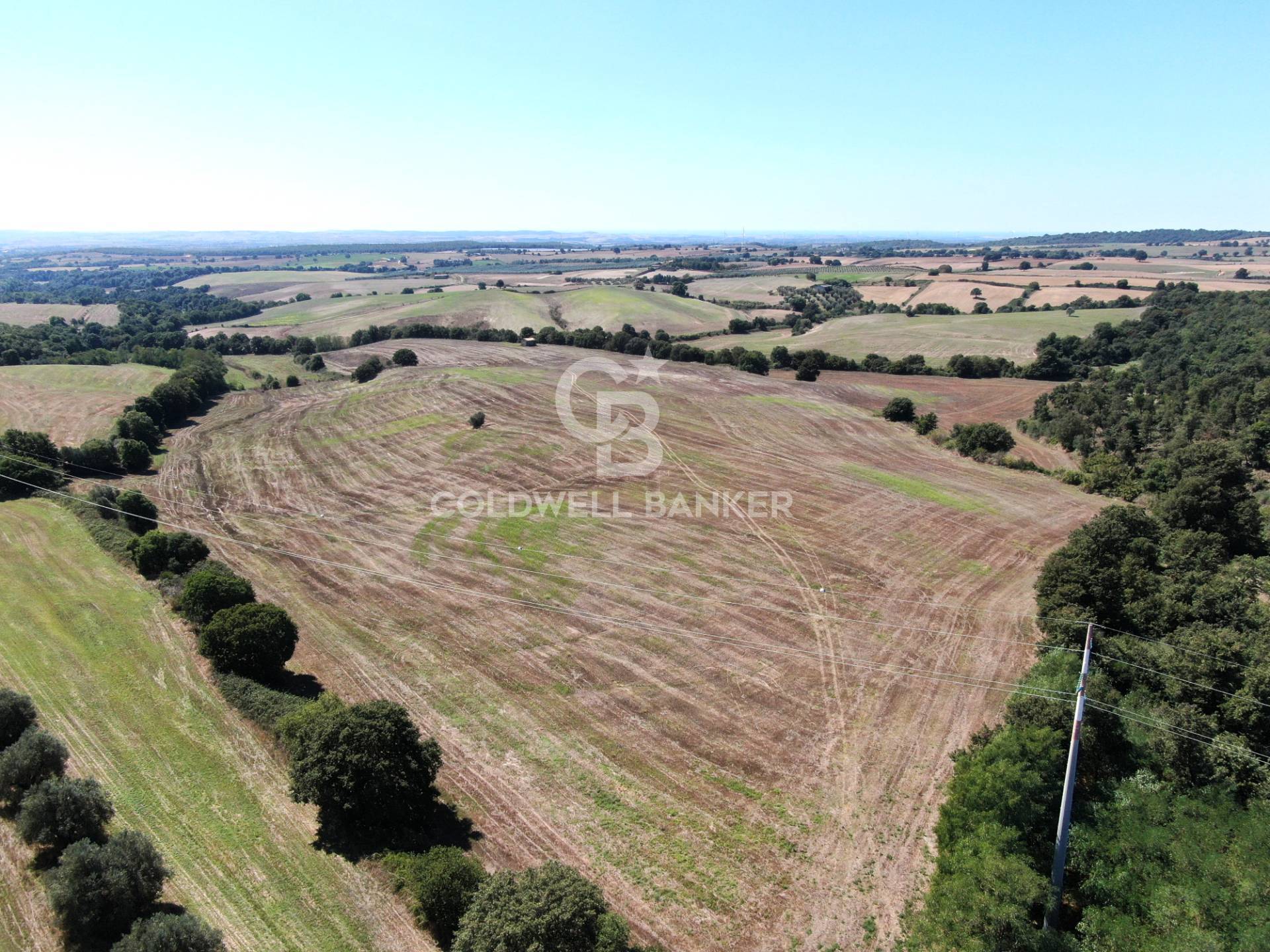 Terreno agricolo in vendita a Tuscania, campagna