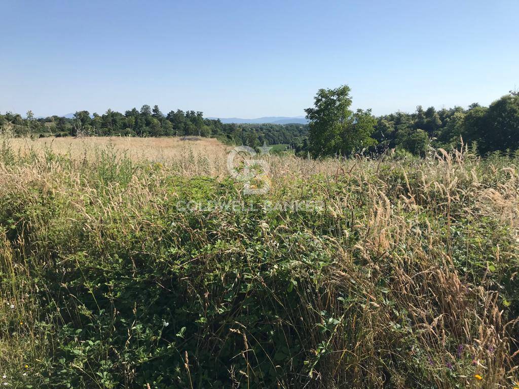 Terreno agricolo in vendita a Gradoli