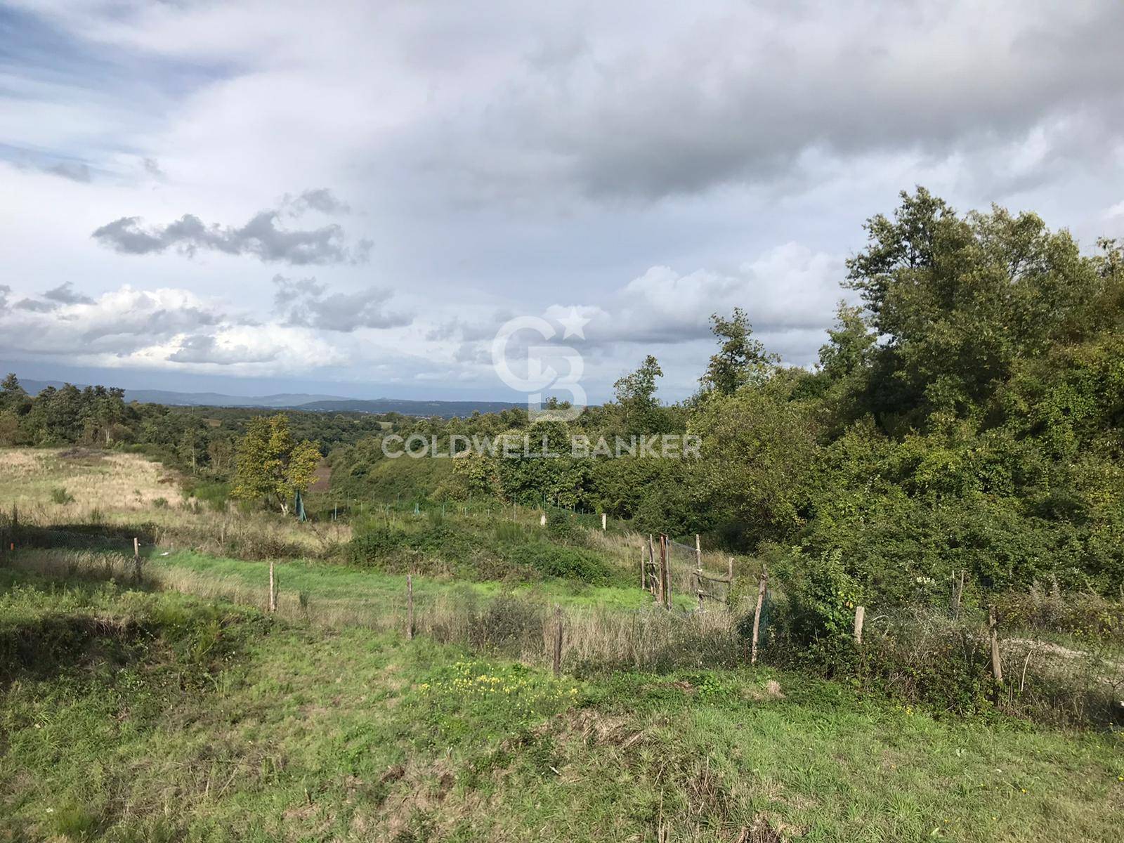 Terreno agricolo in vendita a Gradoli