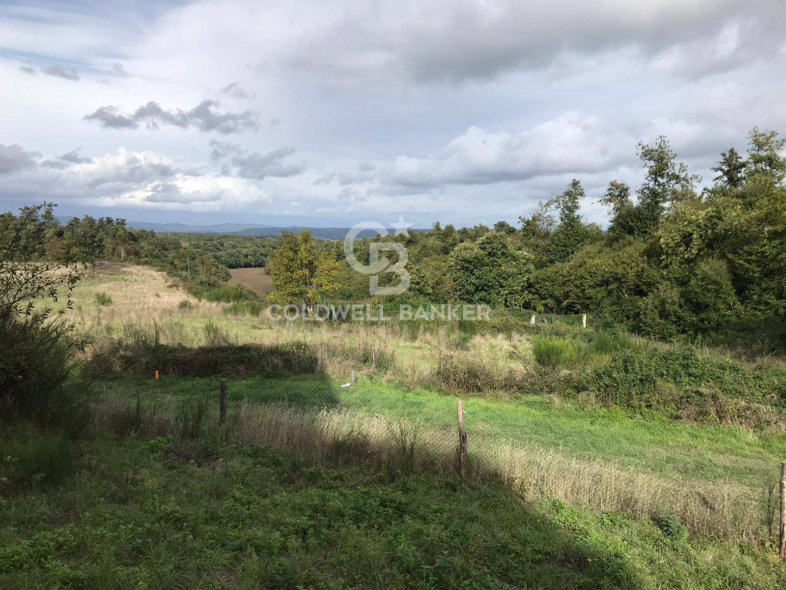 Terreno agricolo in vendita a Gradoli