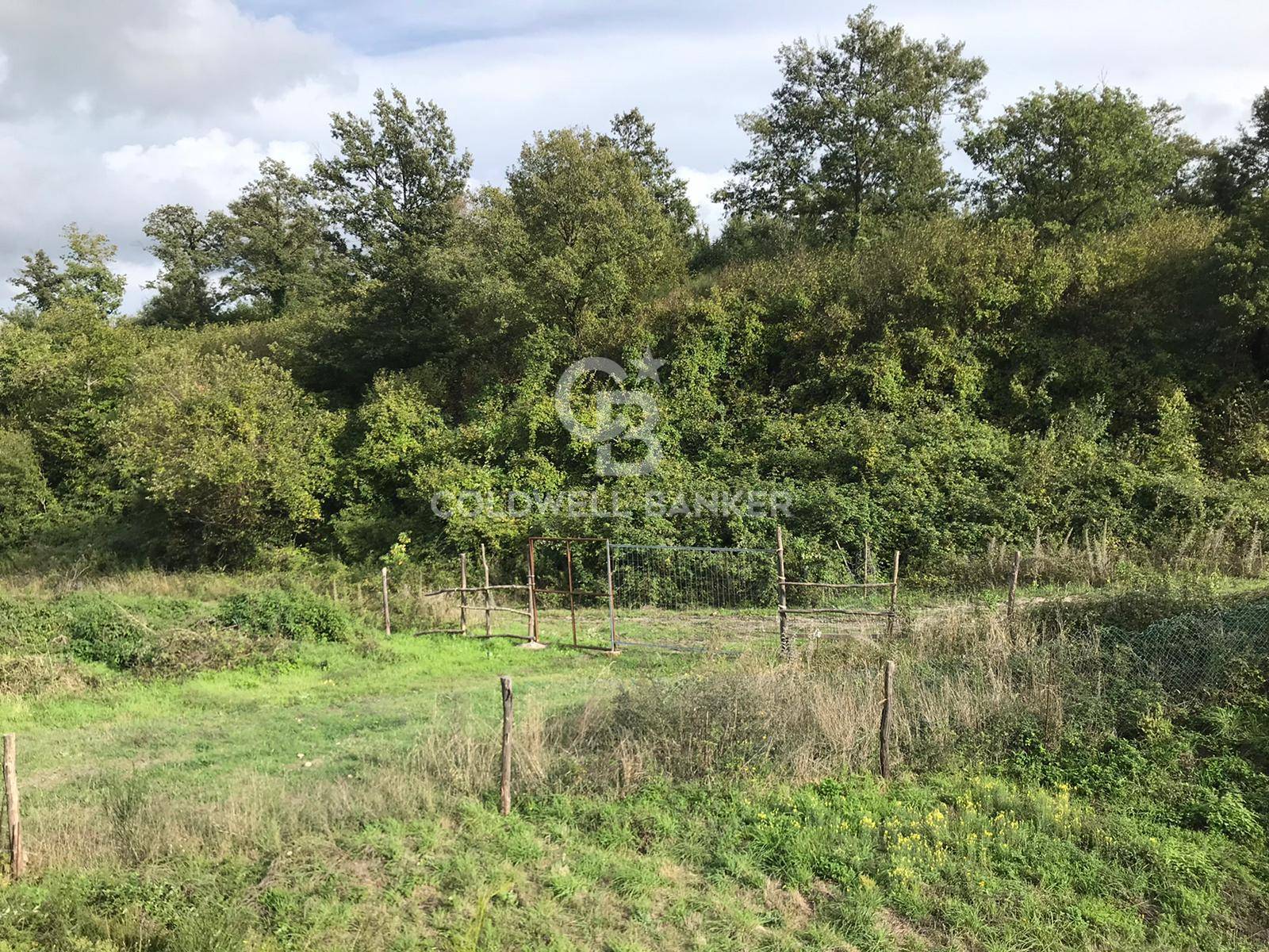 Terreno agricolo in vendita a Gradoli