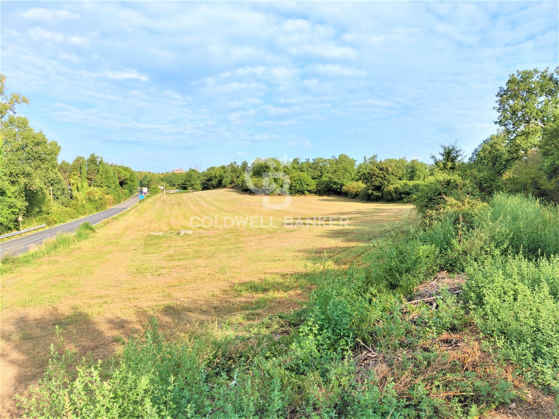 Terreno Edificabile in vendita a Gradoli