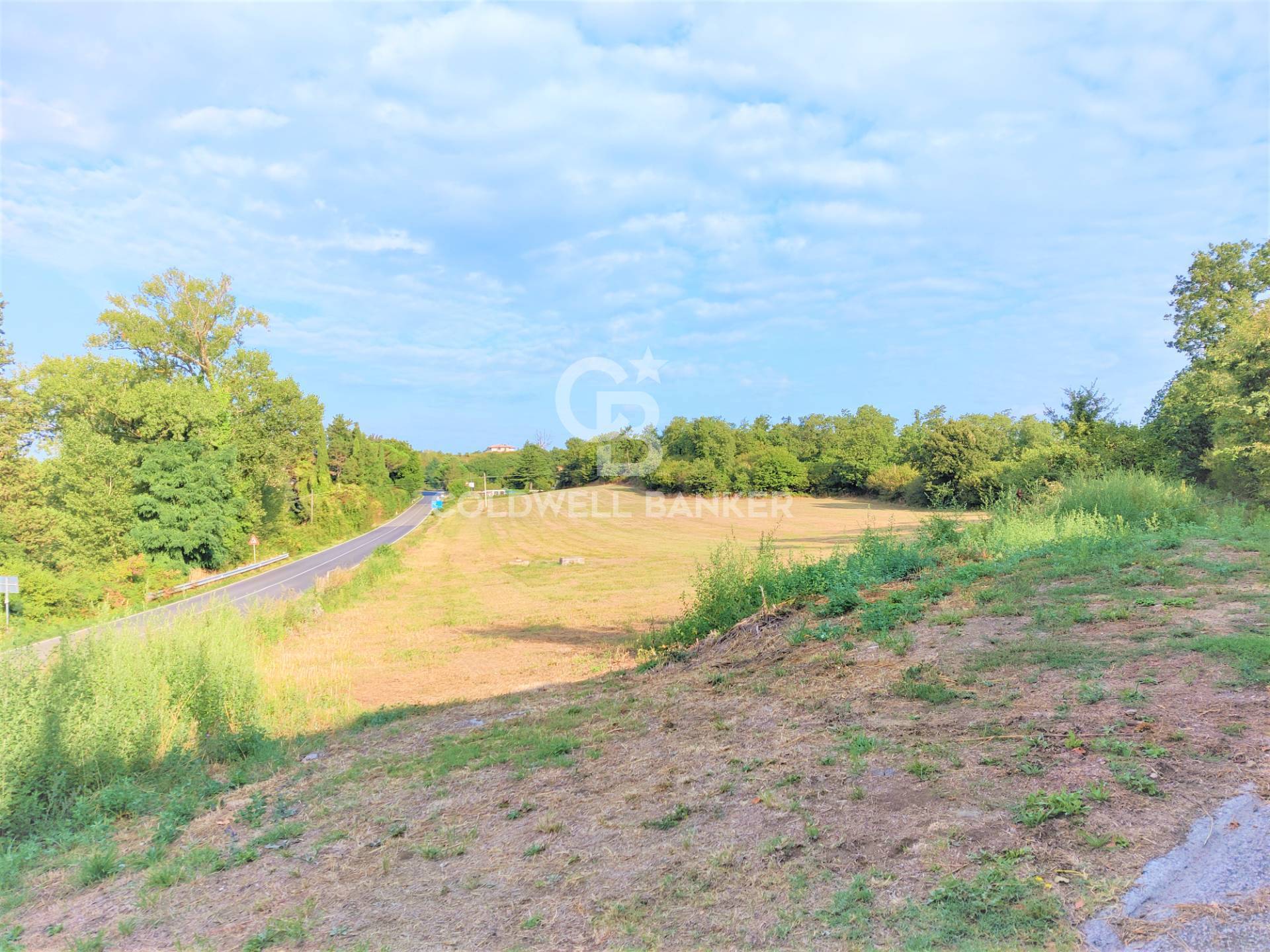 Terreno Edificabile in vendita a Gradoli