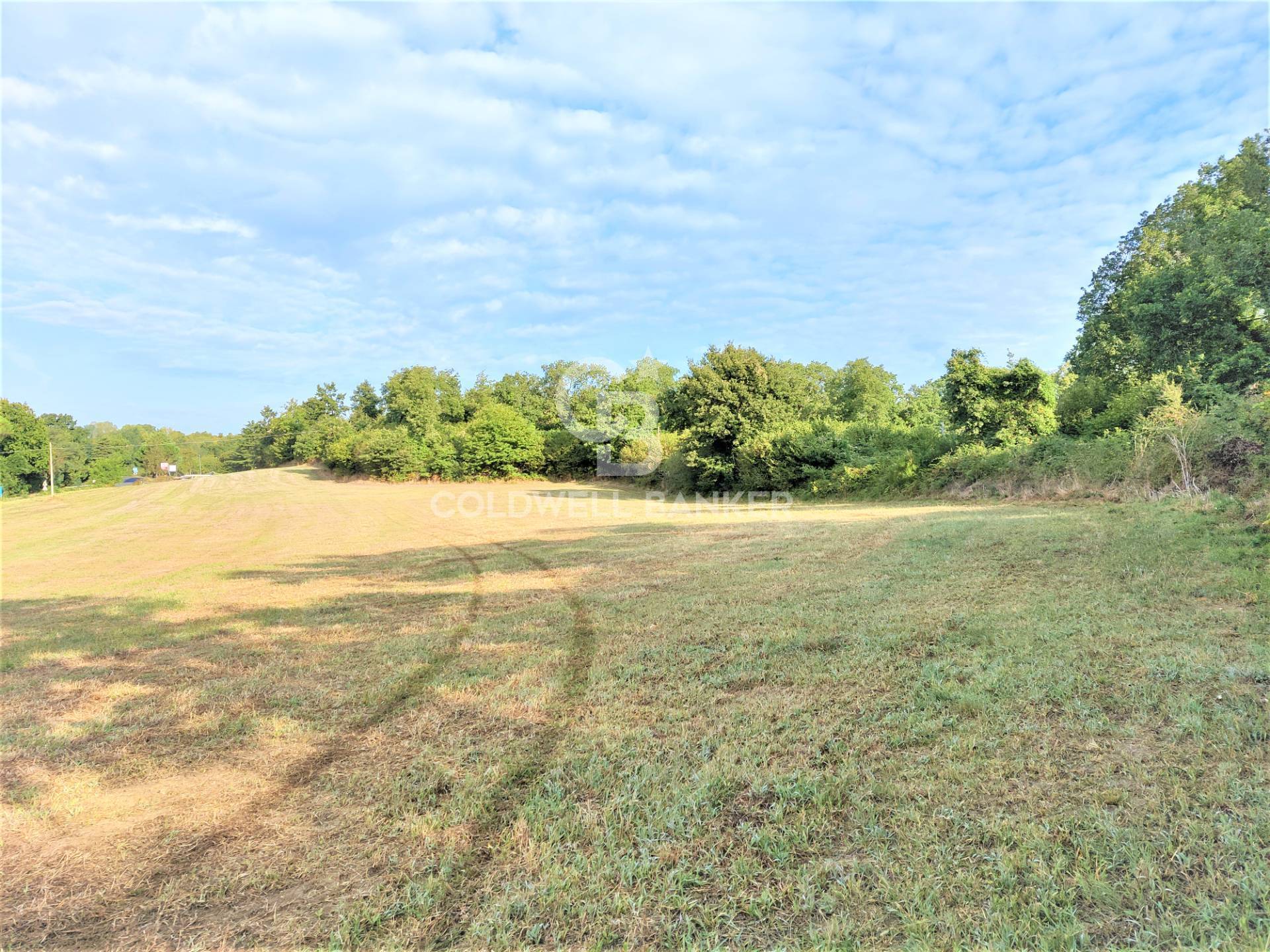 Terreno Edificabile in vendita a Gradoli