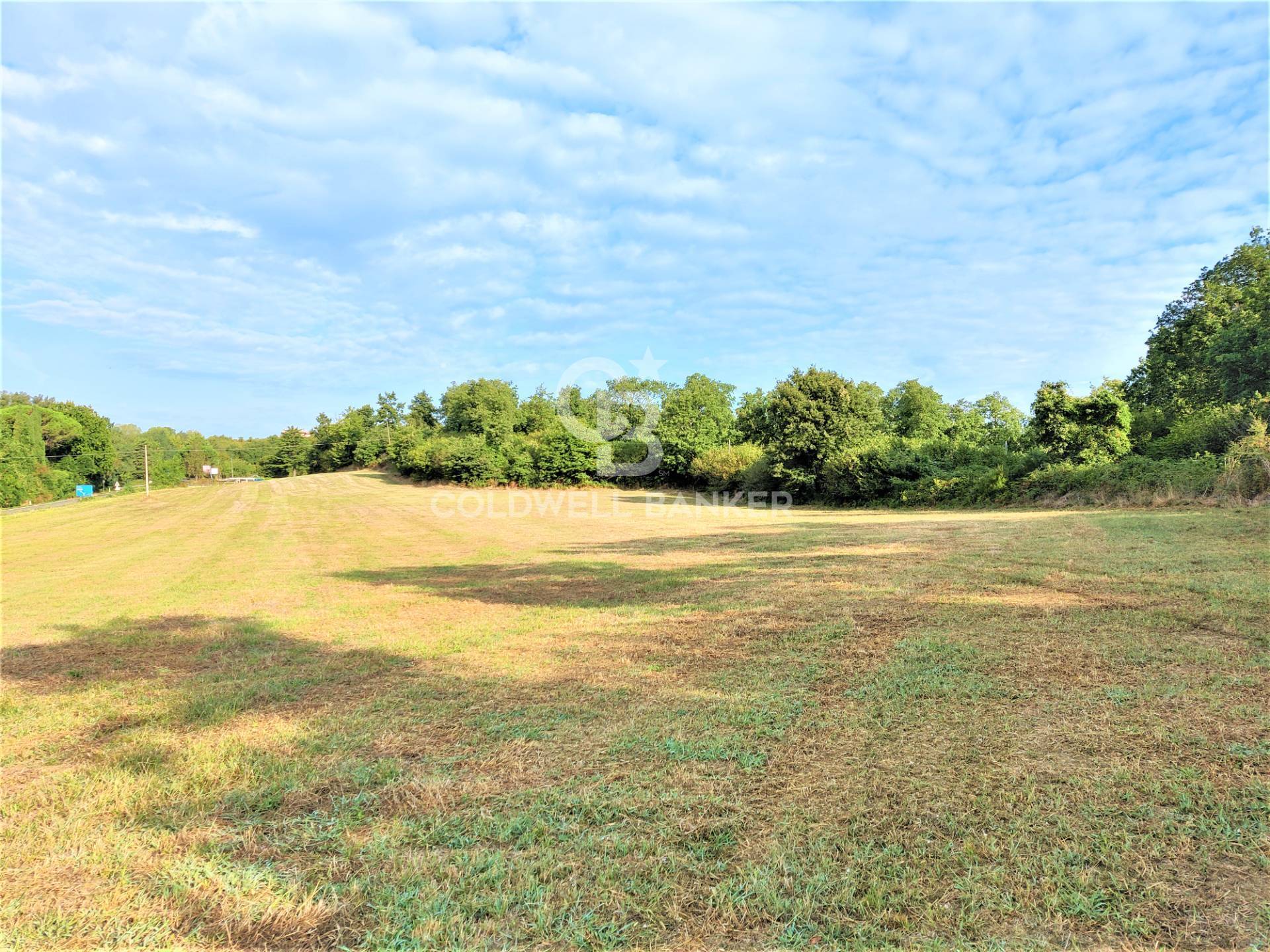 Terreno Edificabile in vendita a Gradoli