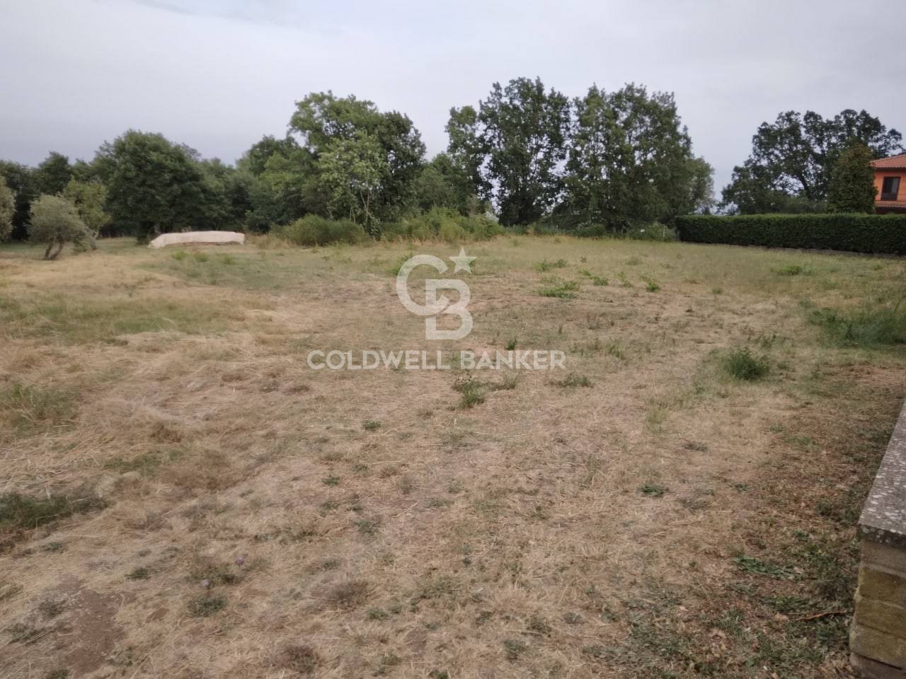 Terreno Edificabile in vendita a Soriano nel Cimino