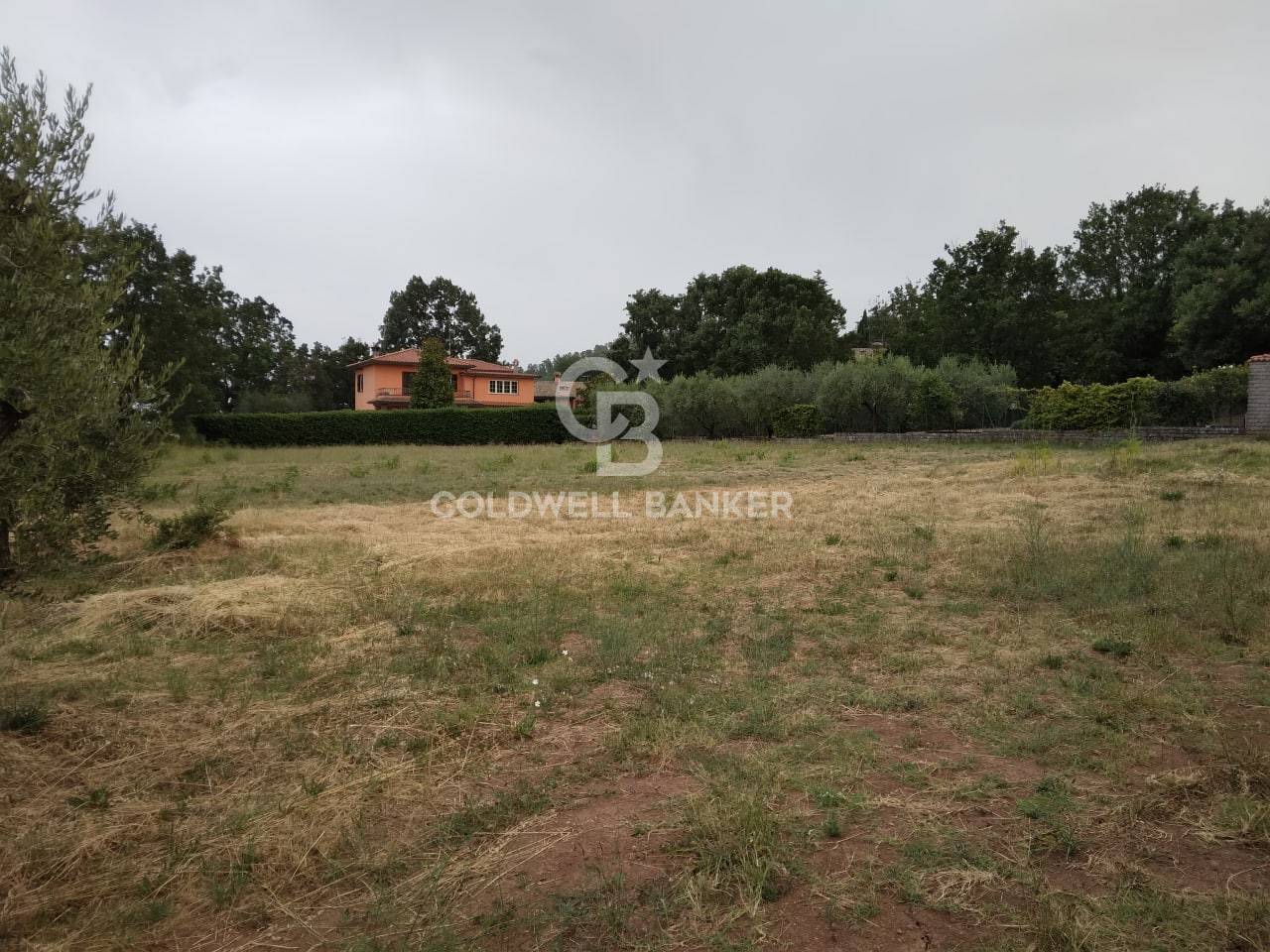 Terreno Edificabile in vendita a Soriano nel Cimino