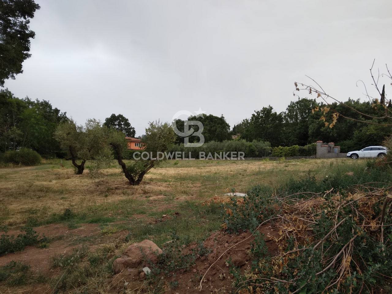 Terreno Edificabile in vendita a Soriano nel Cimino