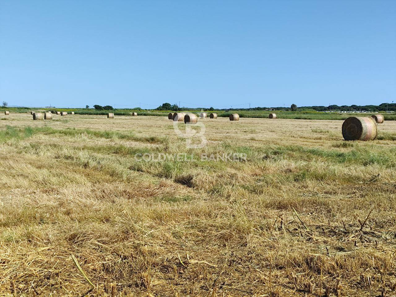 Terreno agricolo in vendita a Montalto di Castro, Pescia Romana