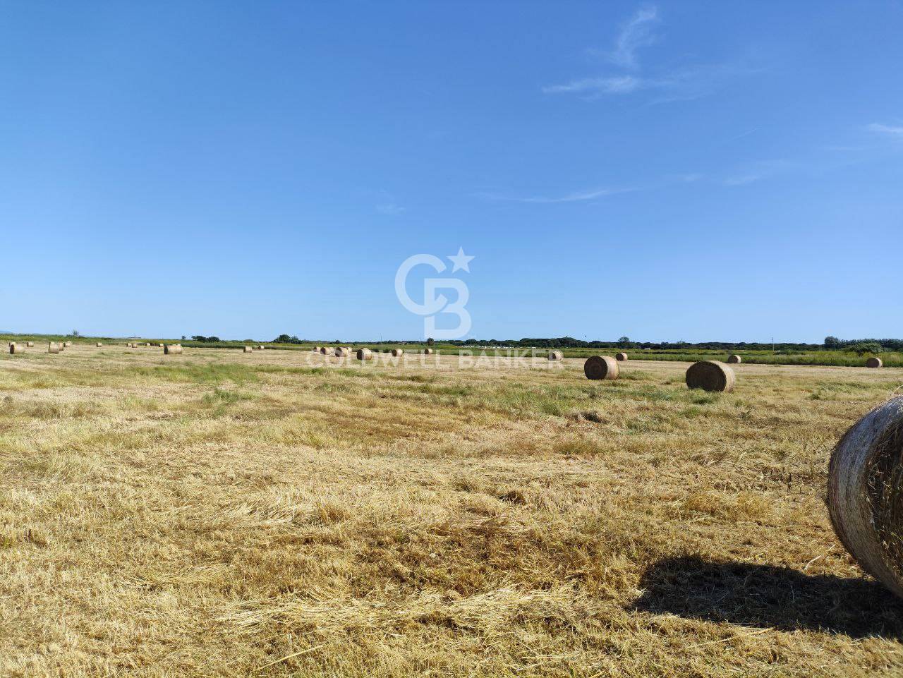 Terreno agricolo in vendita a Montalto di Castro, Pescia Romana