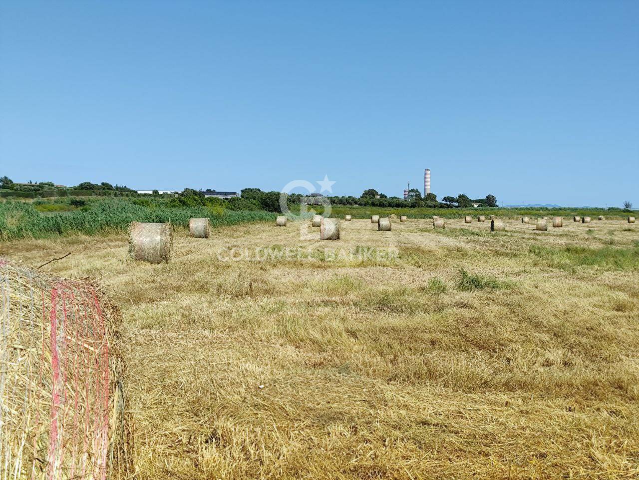 Terreno agricolo in vendita a Montalto di Castro, Pescia Romana