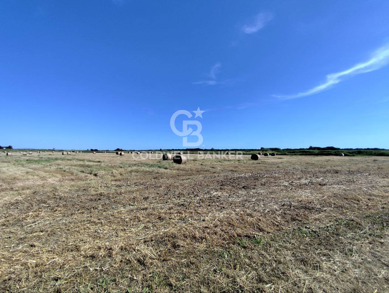Terreno agricolo in vendita a Montalto di Castro, Pescia Romana