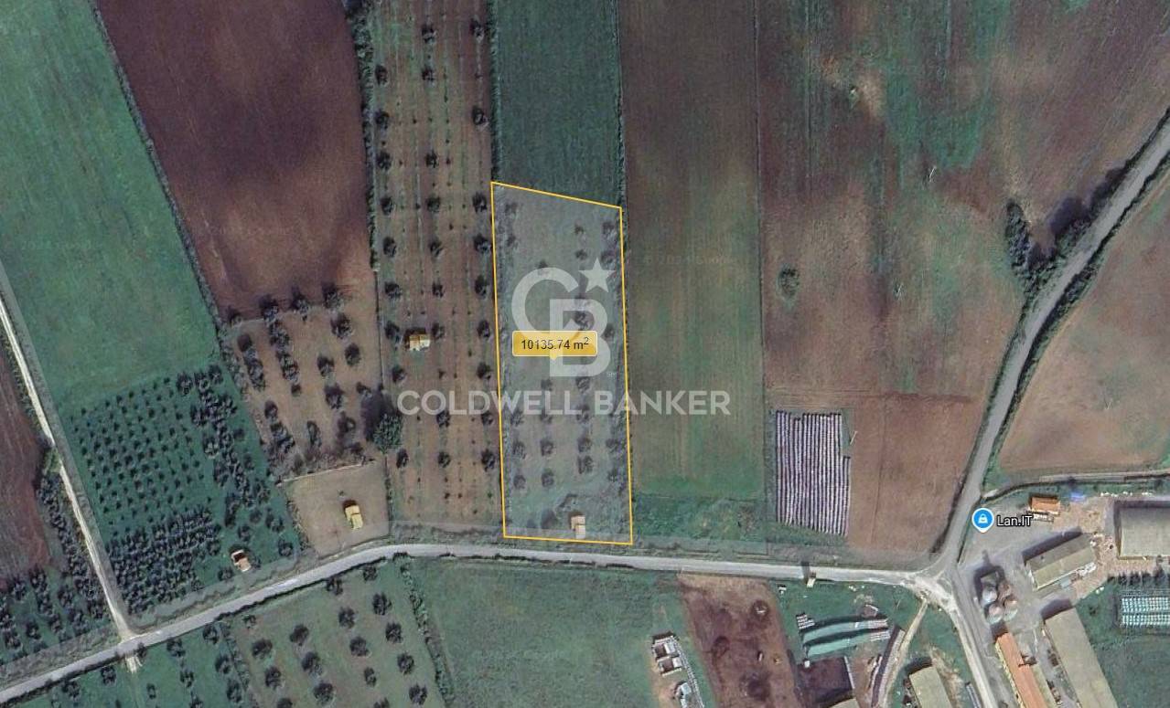 Terreno agricolo in vendita a Ischia di Castro