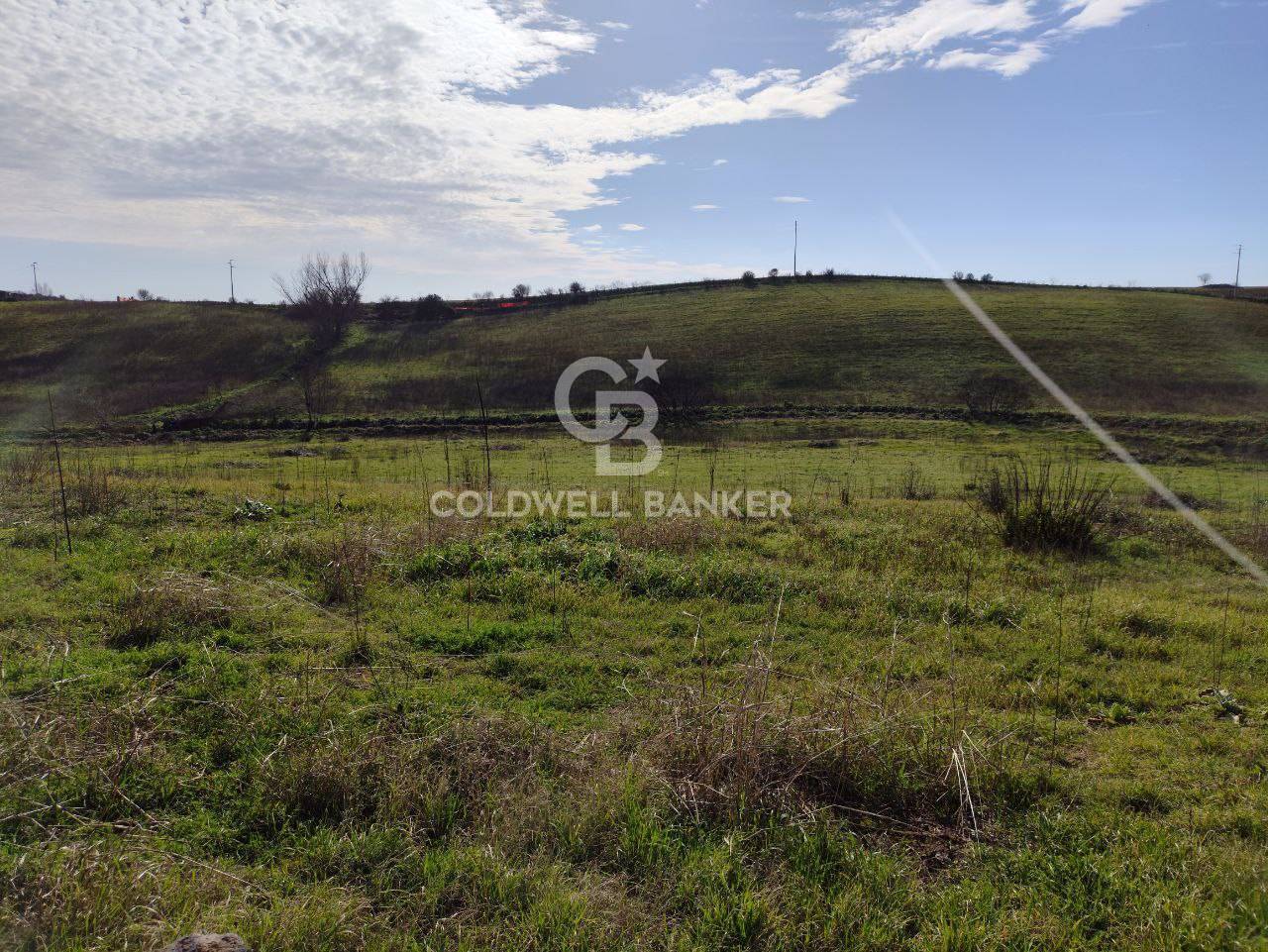 Terreno agricolo in vendita a Montalto di Castro, Montalto di Castro