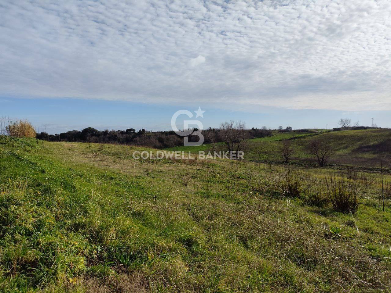 Terreno agricolo in vendita a Montalto di Castro, Montalto di Castro