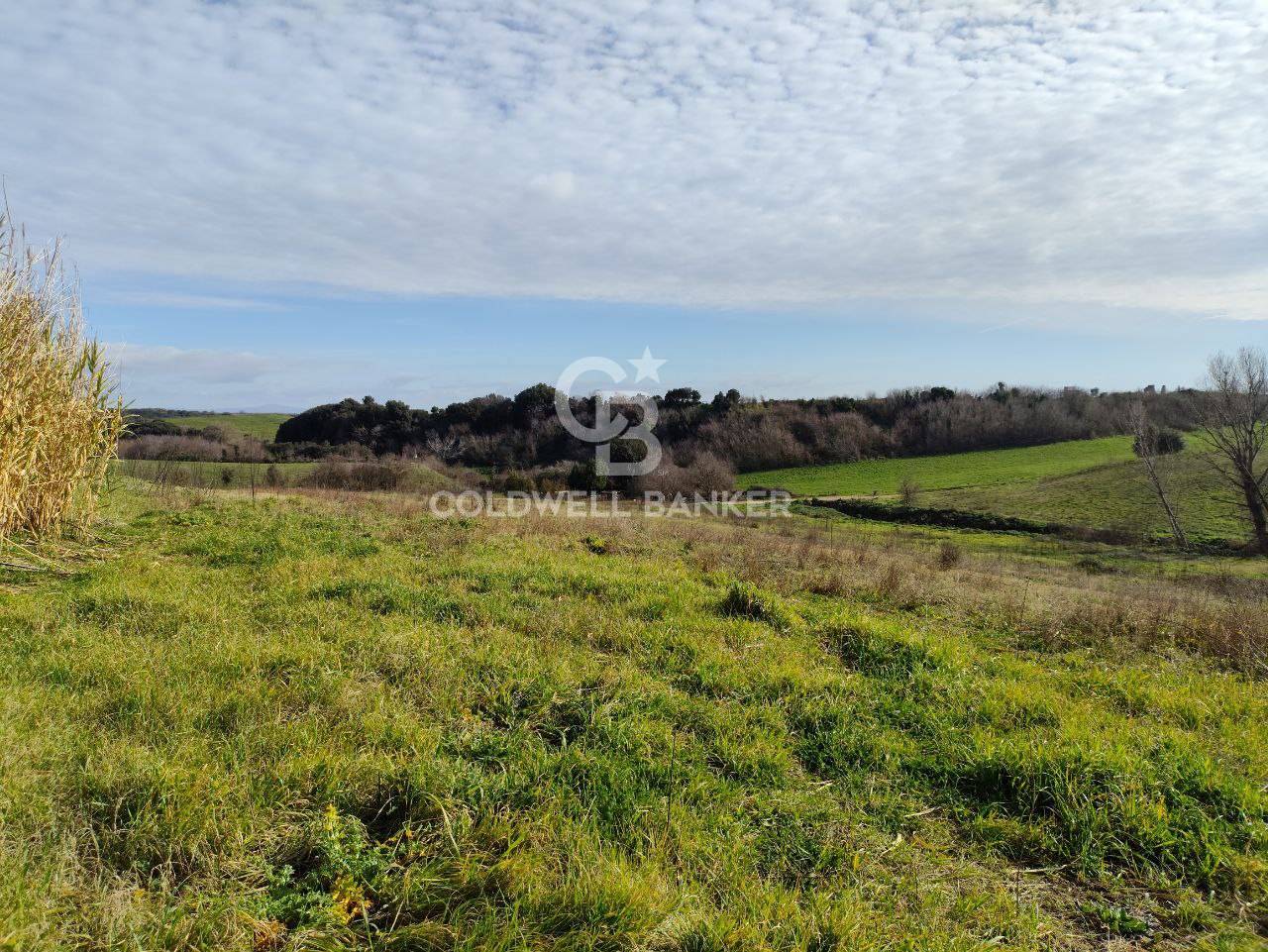 Terreno agricolo in vendita a Montalto di Castro, Montalto di Castro