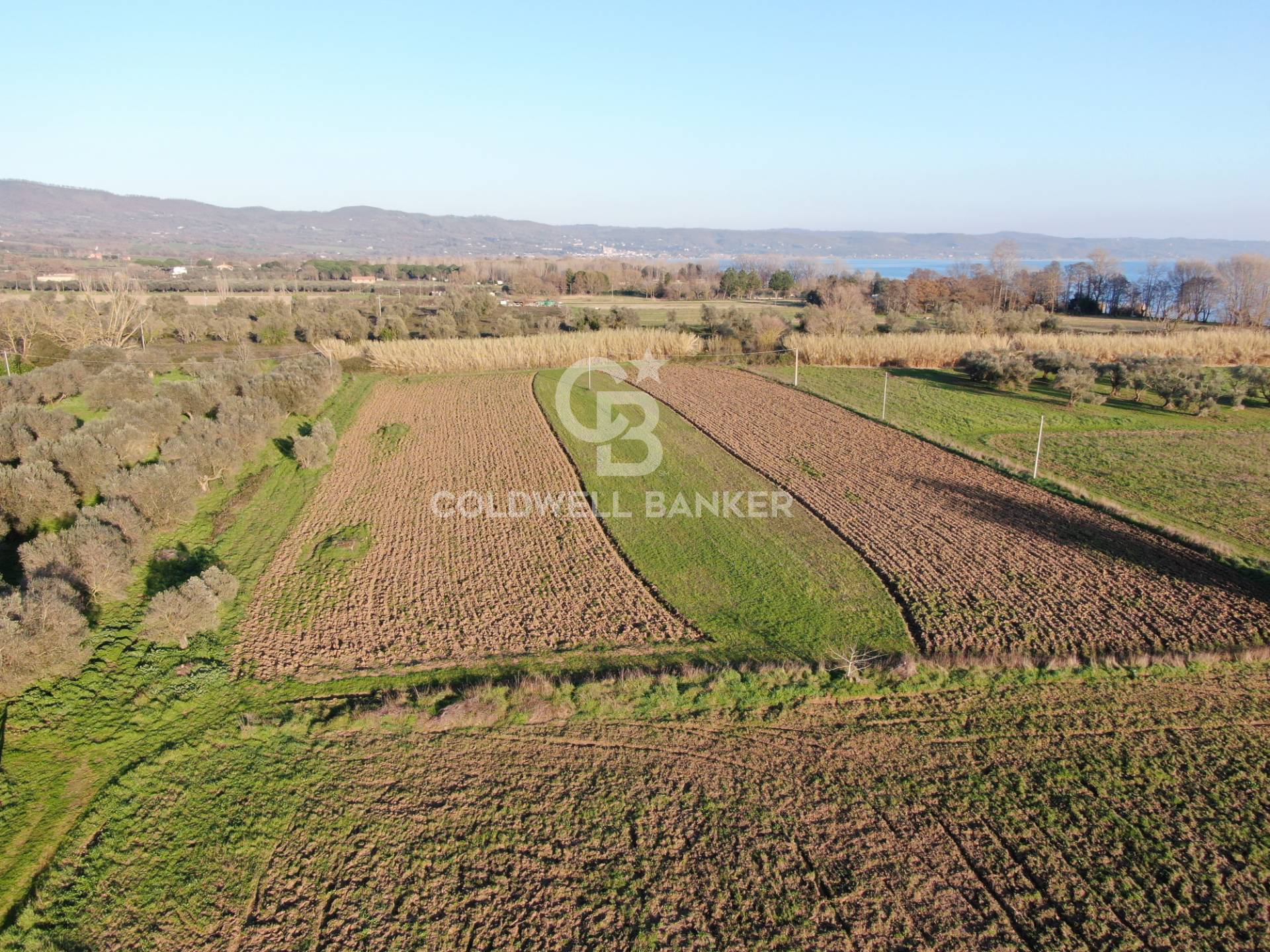 Terreno agricolo in vendita a San Lorenzo Nuovo