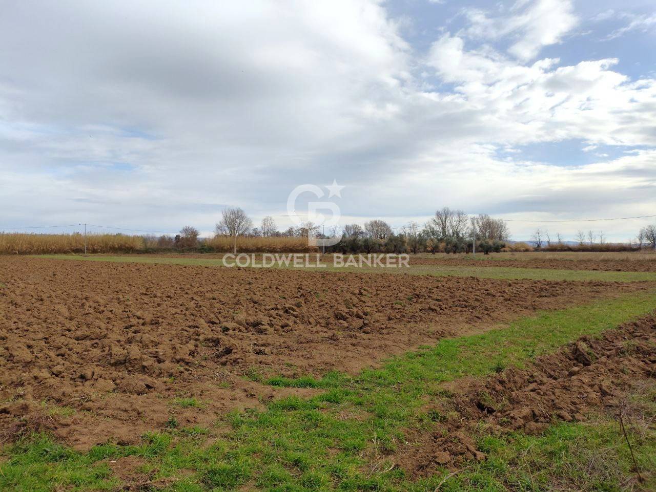 Terreno agricolo in vendita a San Lorenzo Nuovo