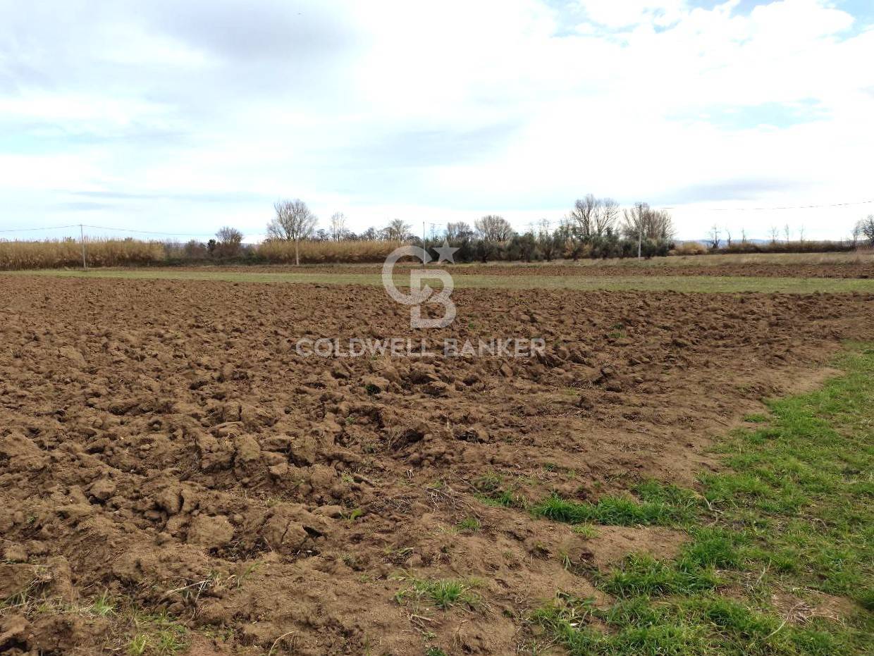 Terreno agricolo in vendita a San Lorenzo Nuovo
